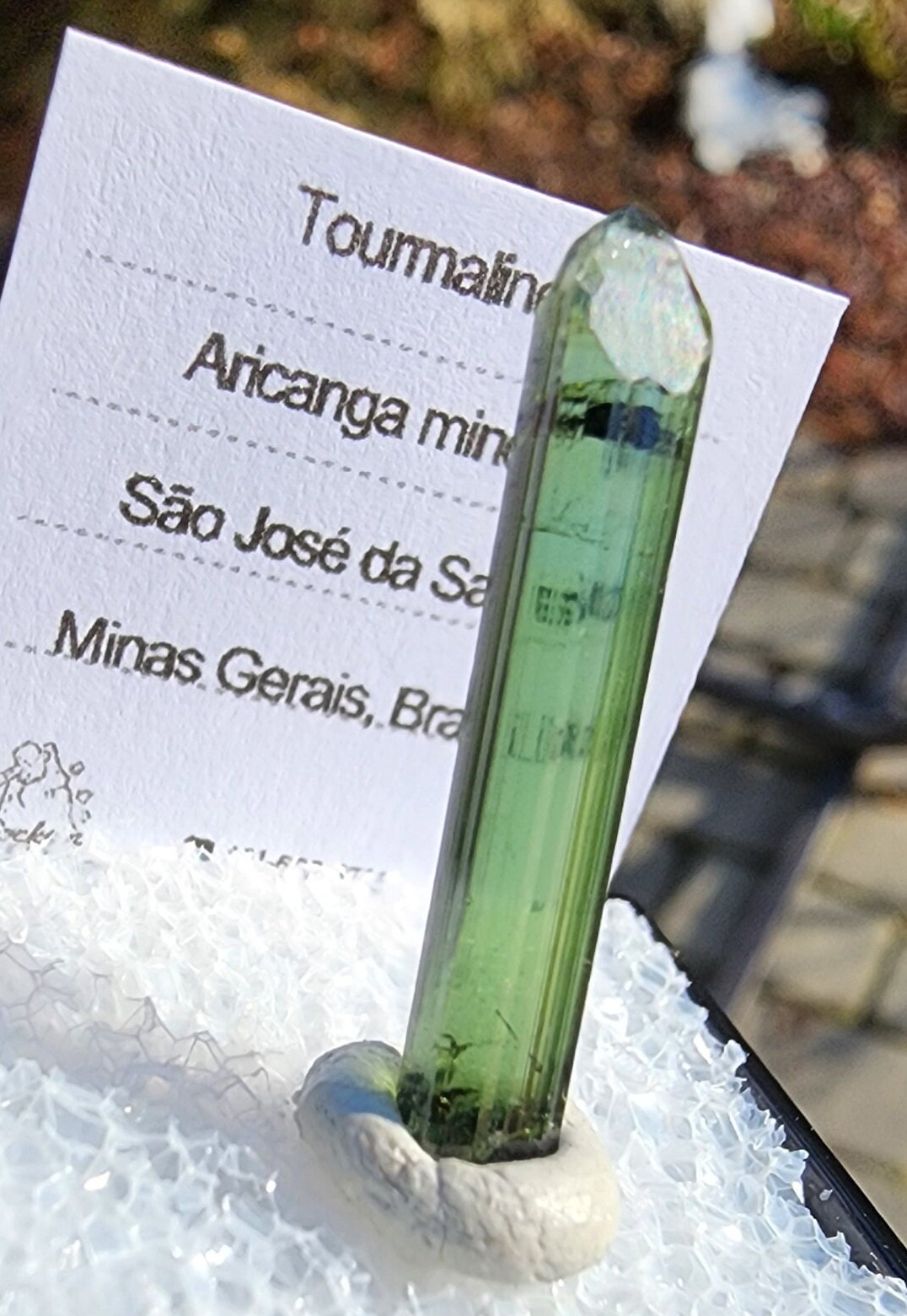 Tourmaline Crystal from Aricanga mine, Minas Gerais, Brazil