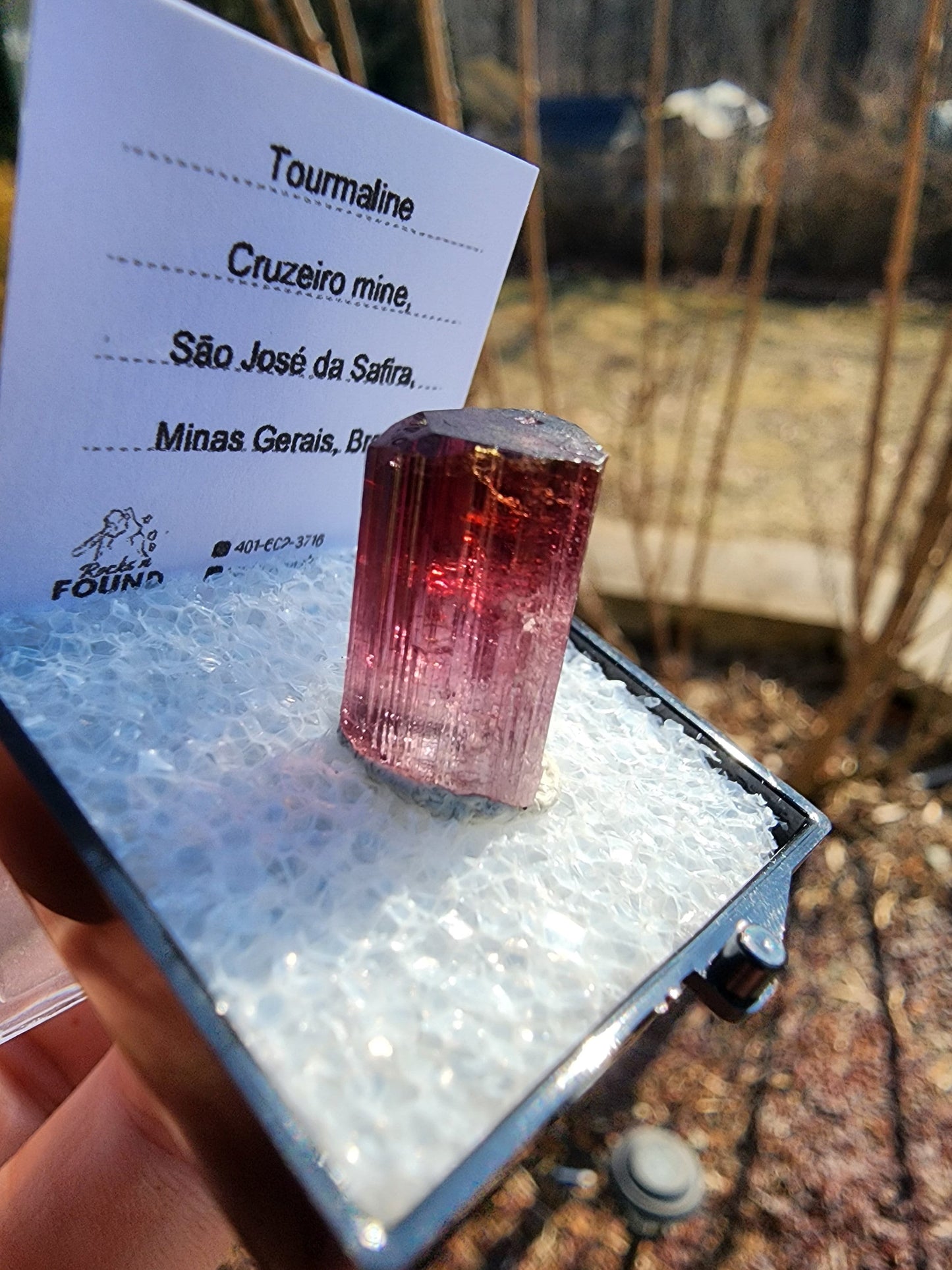 Bi-colored Rubellite Tourmaline Crystal from Cruzeiro Mine, Minas Gerais, Brazil