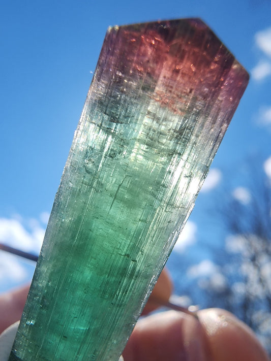 Lipstick Tourmaline from Cruzeiro Mine, Minas Gerais, Brazil