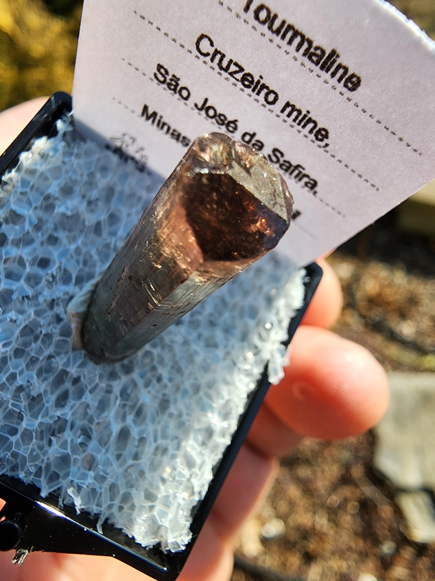 Tourmaline Crystal from Cruzeiro mine, Minas Gerais, Brazil