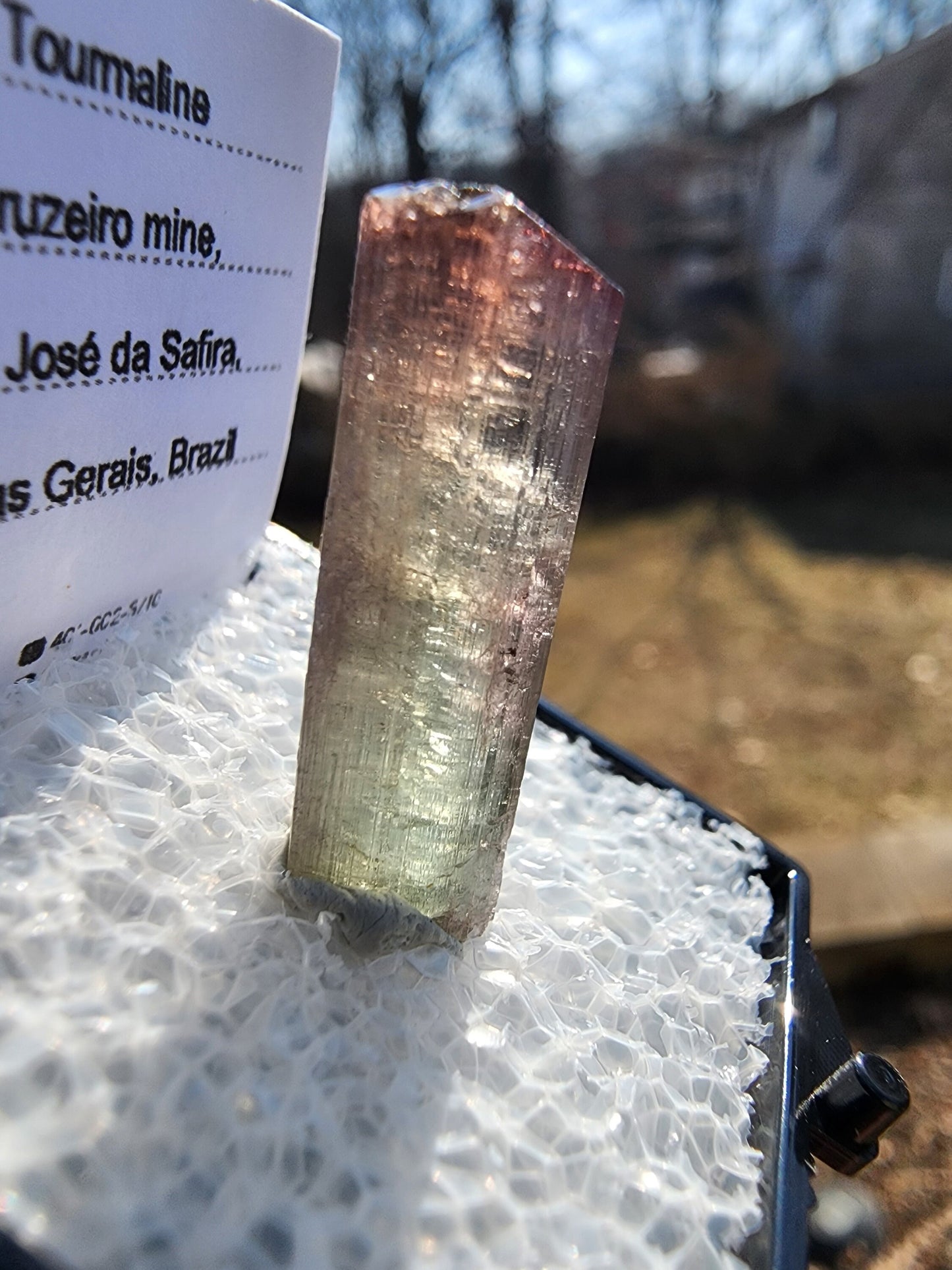 Tourmaline Crystal from Cruzeiro mine, Minas Gerais, Brazil