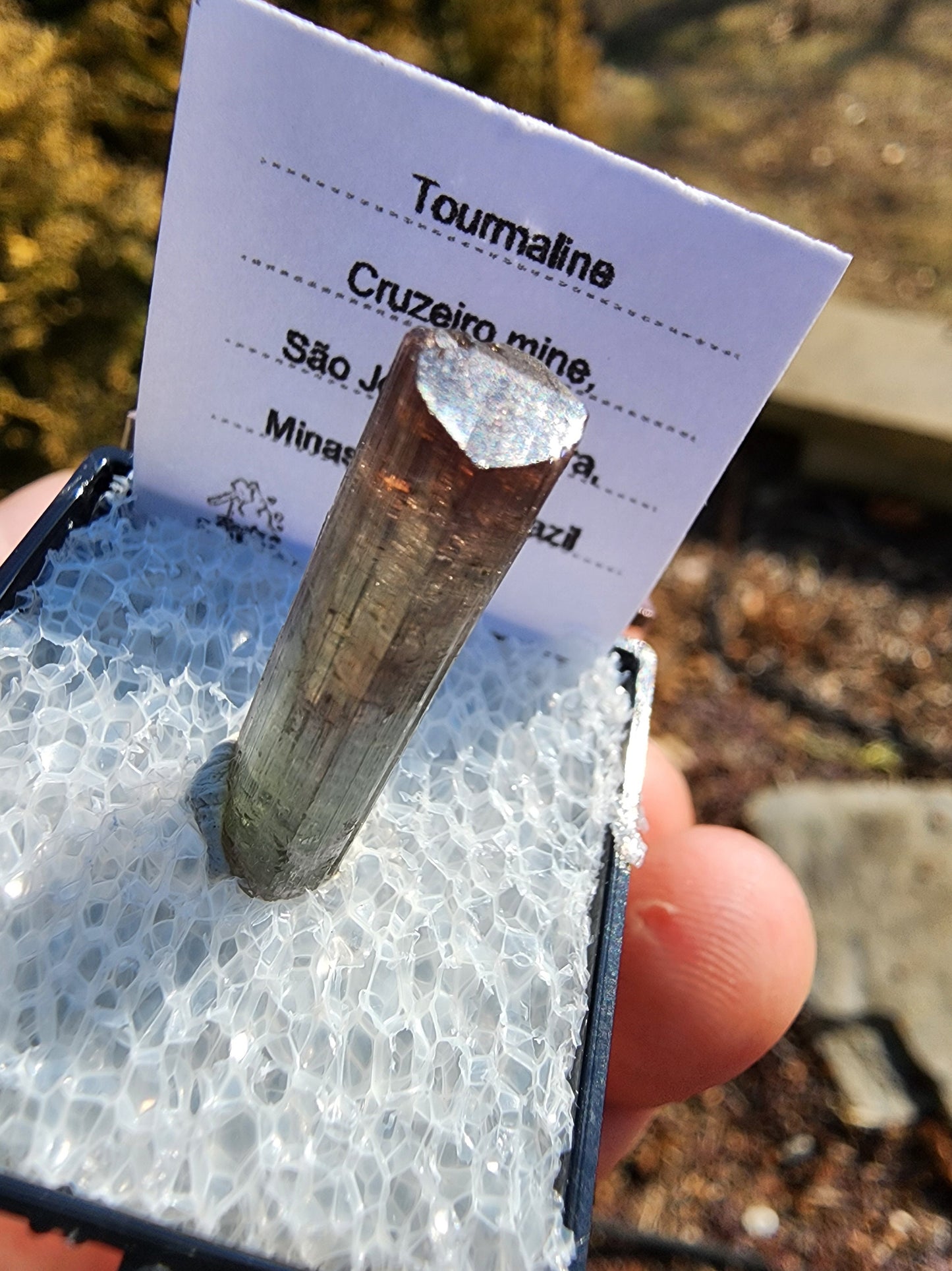 Tourmaline Crystal from Cruzeiro mine, Minas Gerais, Brazil