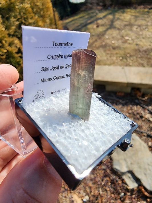 Tourmaline Crystal from Cruzeiro mine, Minas Gerais, Brazil