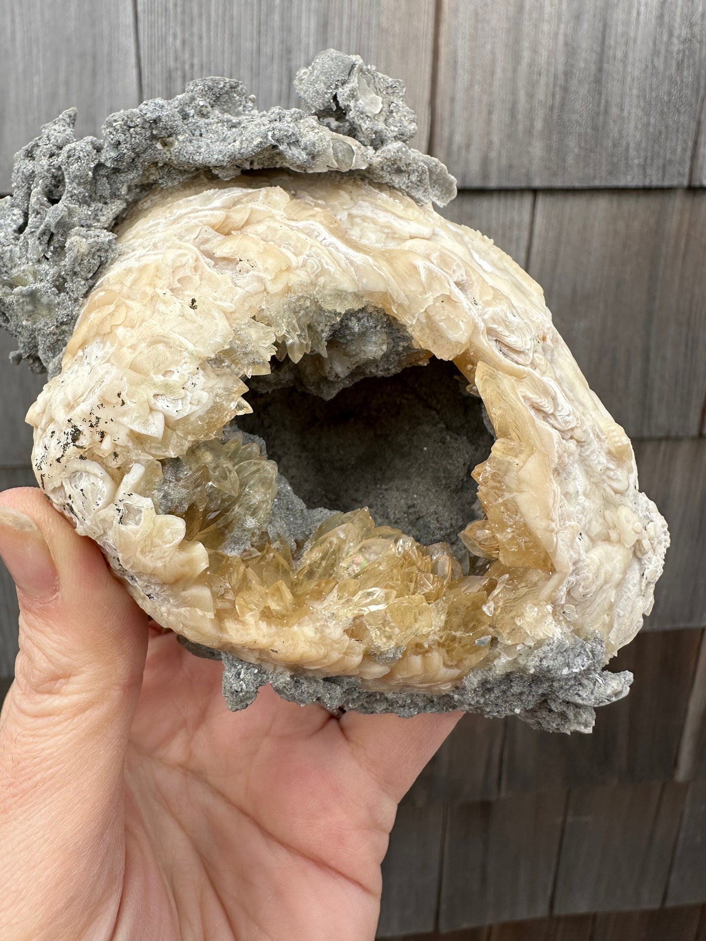 Calcite in Fossilized Clam from Rucks' Pit Florida USA