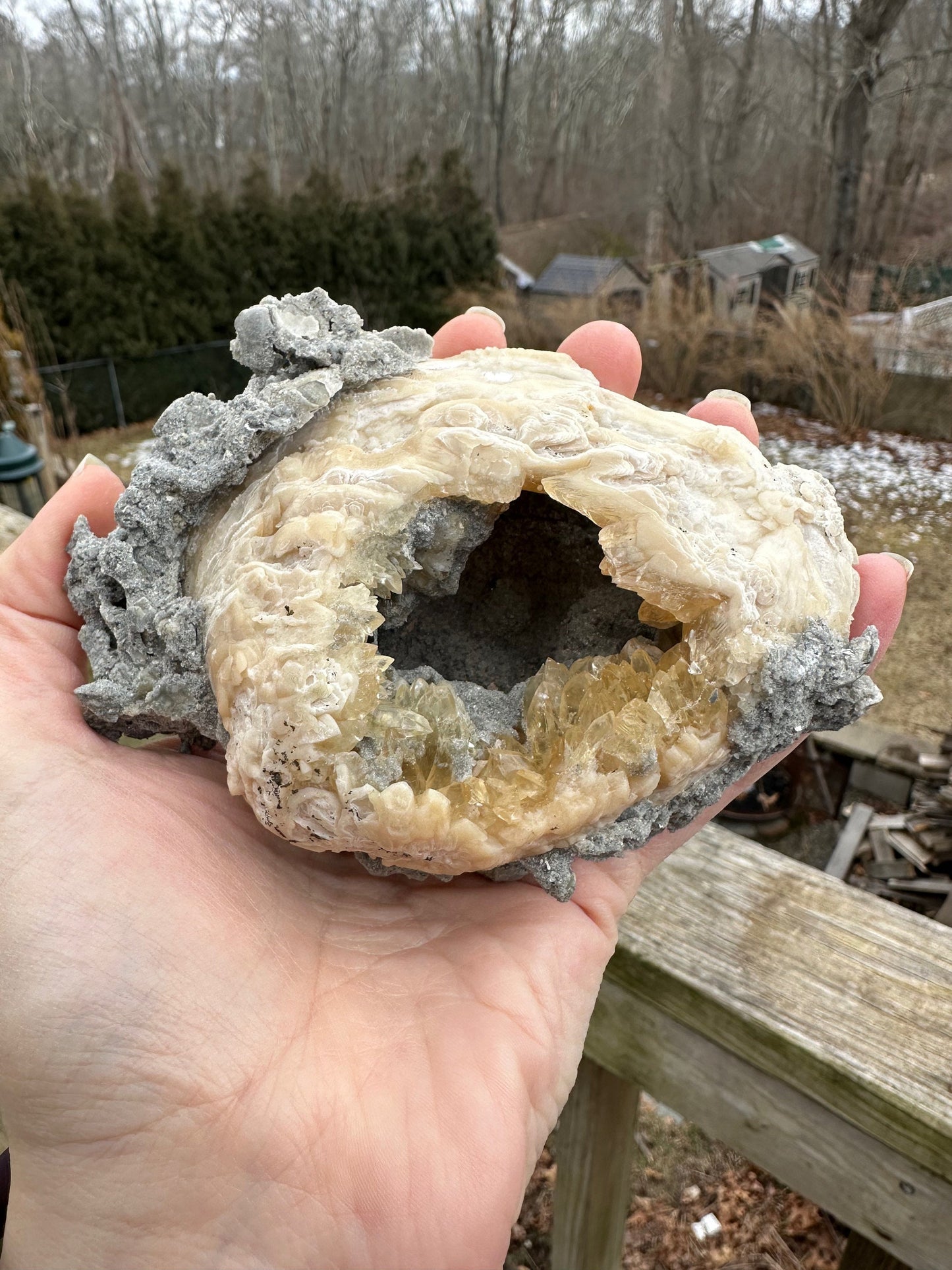 Calcite in Fossilized Clam from Rucks' Pit Florida USA