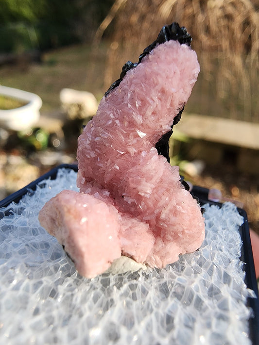 Botryoidal Rhodochrosite from Potosi Mine, Mexico