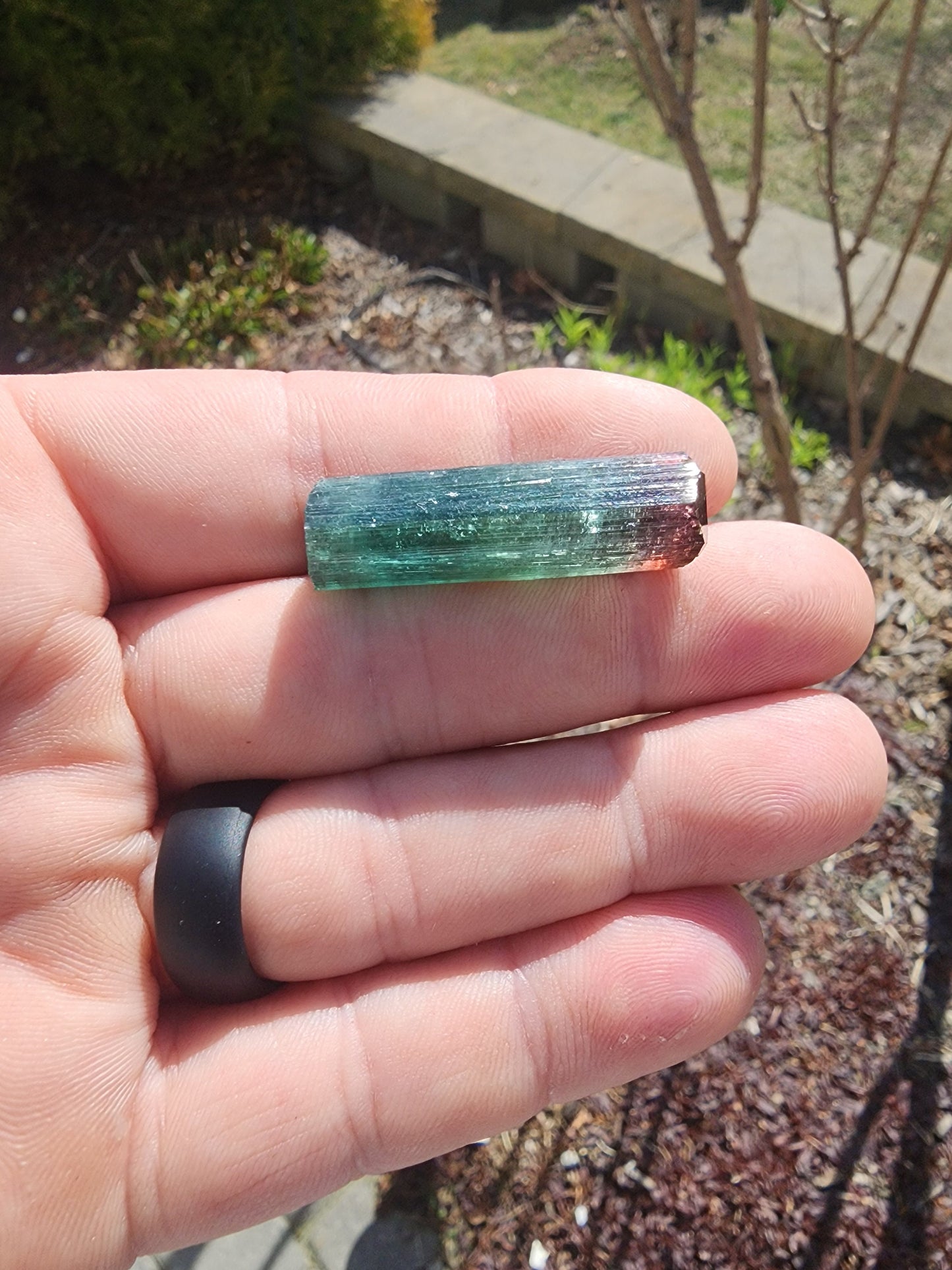 Lipstick Tourmaline from Cruzeiro Mine, Minas Gerais, Brazil