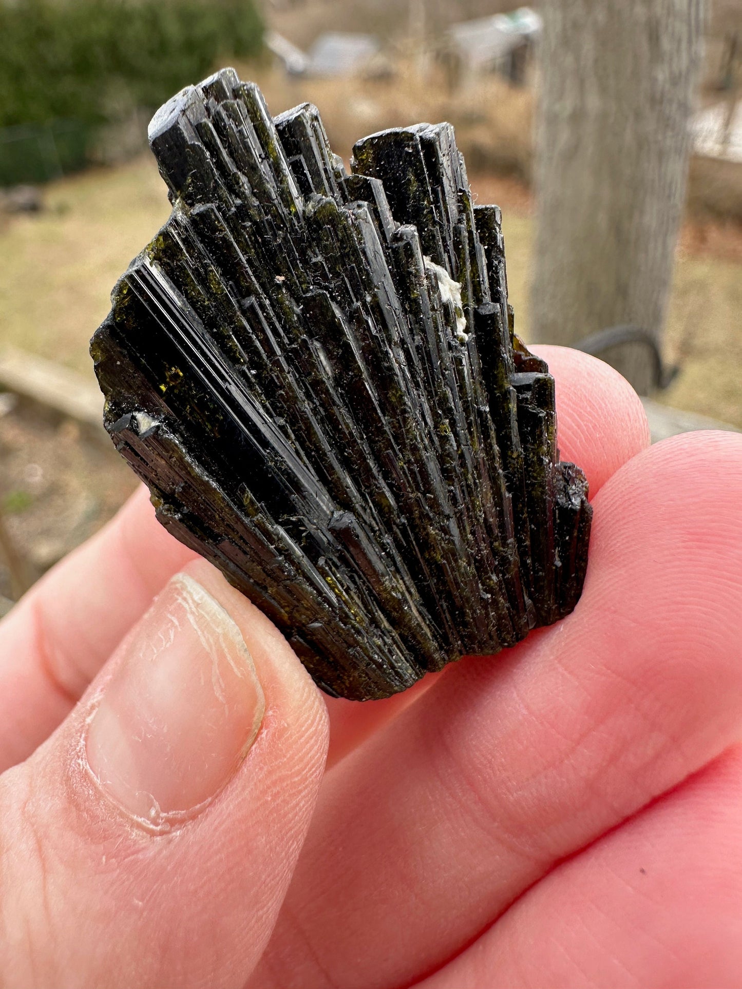 Epidote Crystal Cluster from Rosario Mabel Claim Peru