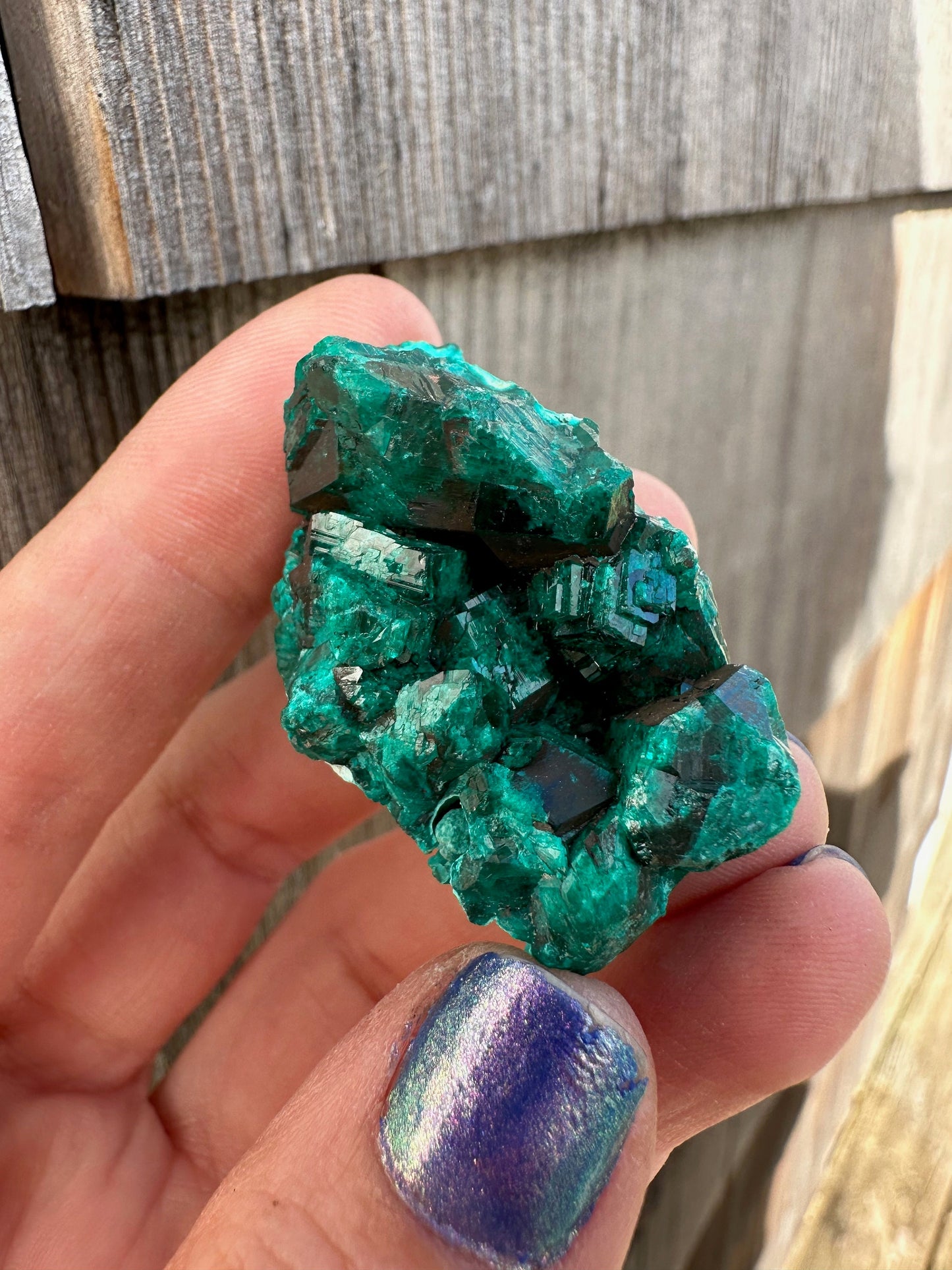 Dioptase Crystals with Chrysocolla From Congo
