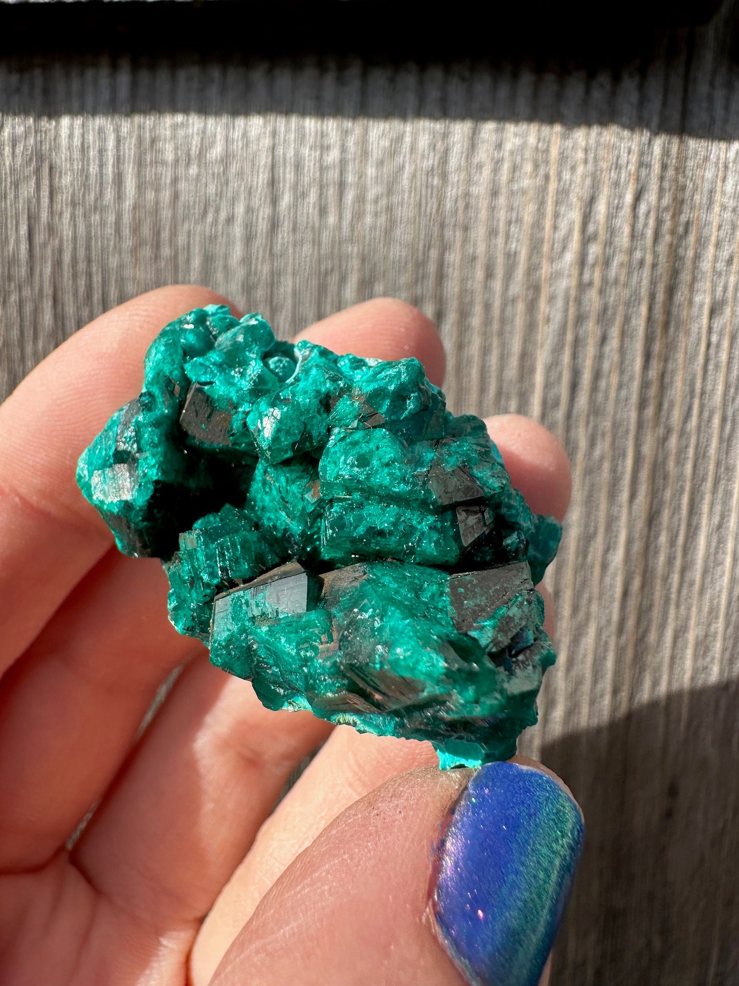Dioptase Crystals with Chrysocolla From Congo