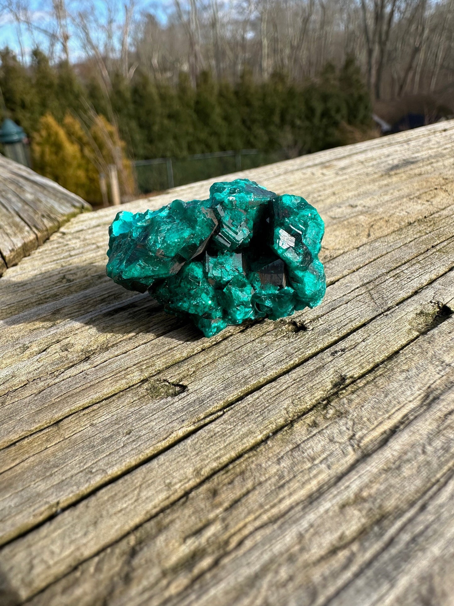 Dioptase Crystals with Chrysocolla From Congo