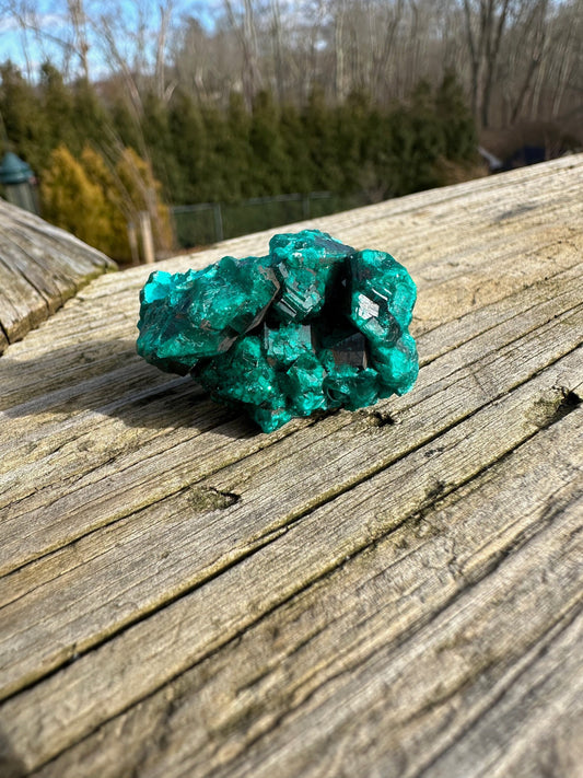 Dioptase Crystals with Chrysocolla From Congo