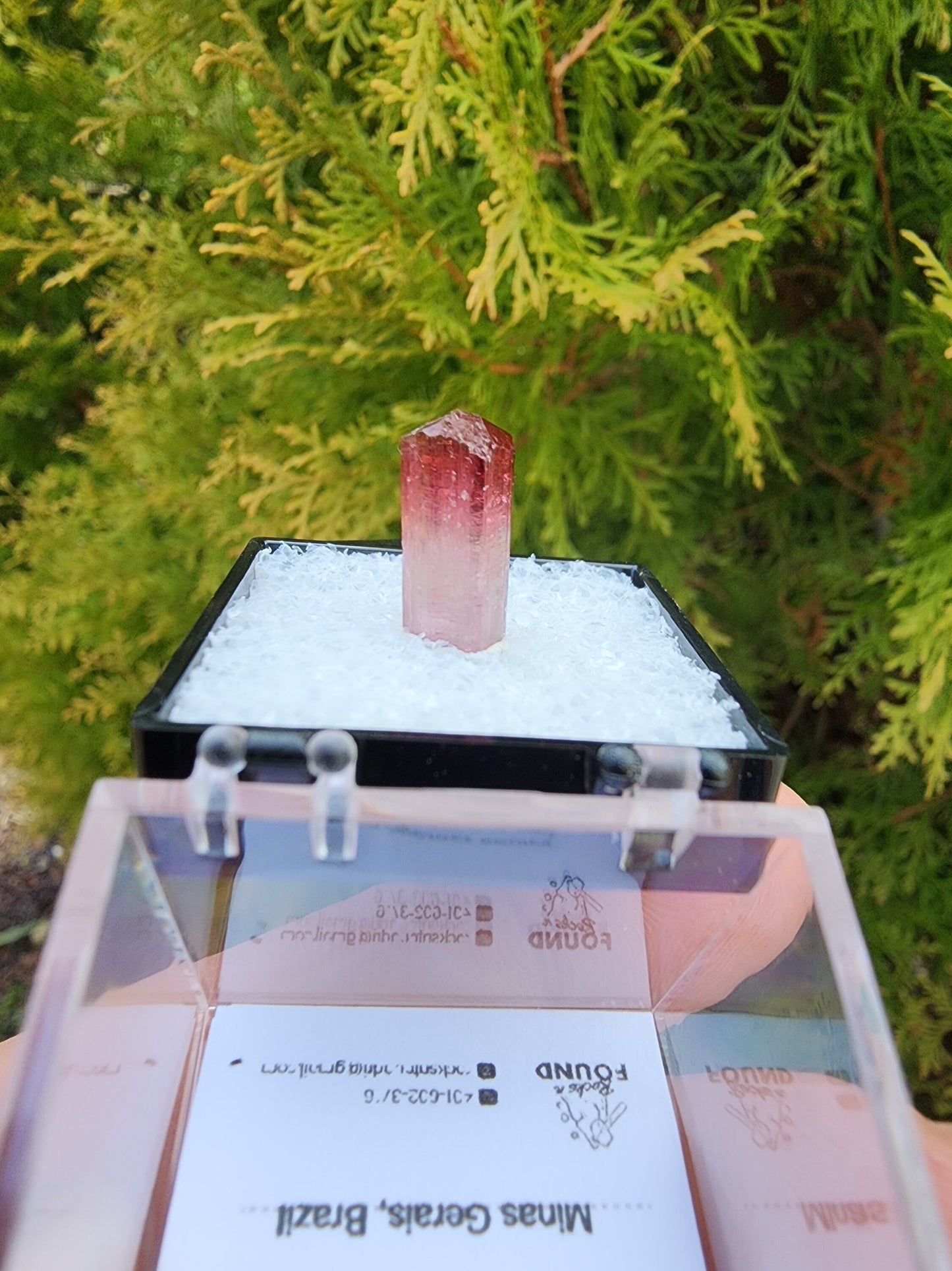 Bi-colored Rubellite Tourmaline Crystal from Cruzeiro Mine, Minas Gerais, Brazil