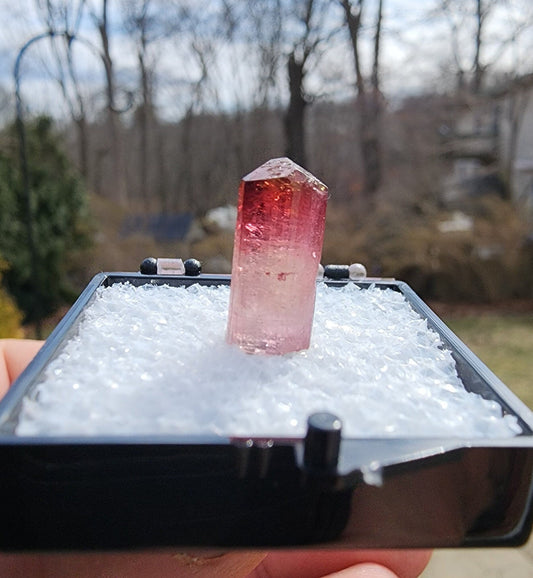 Bi-colored Rubellite Tourmaline Crystal from Cruzeiro Mine, Minas Gerais, Brazil