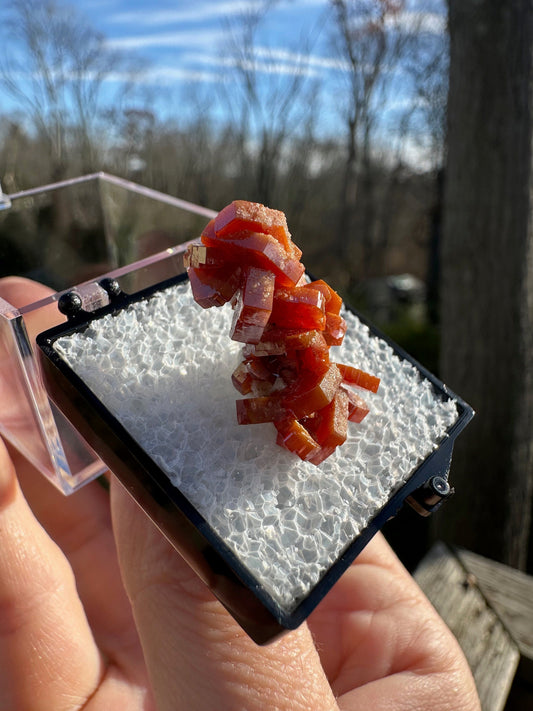 Vanadinite Crystal Cluster from Morocco