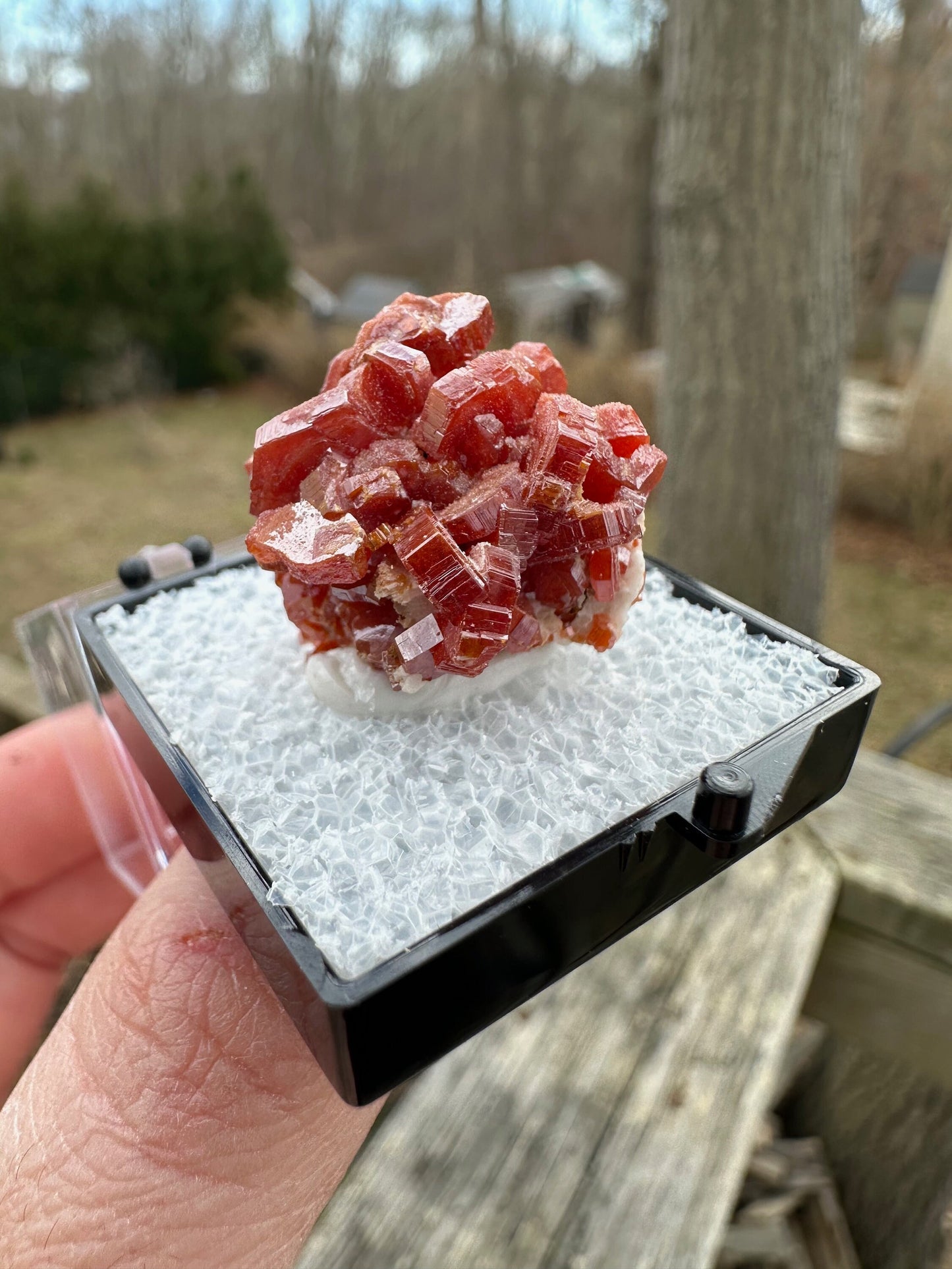Vanadinite Crystal Cluster from Morocco