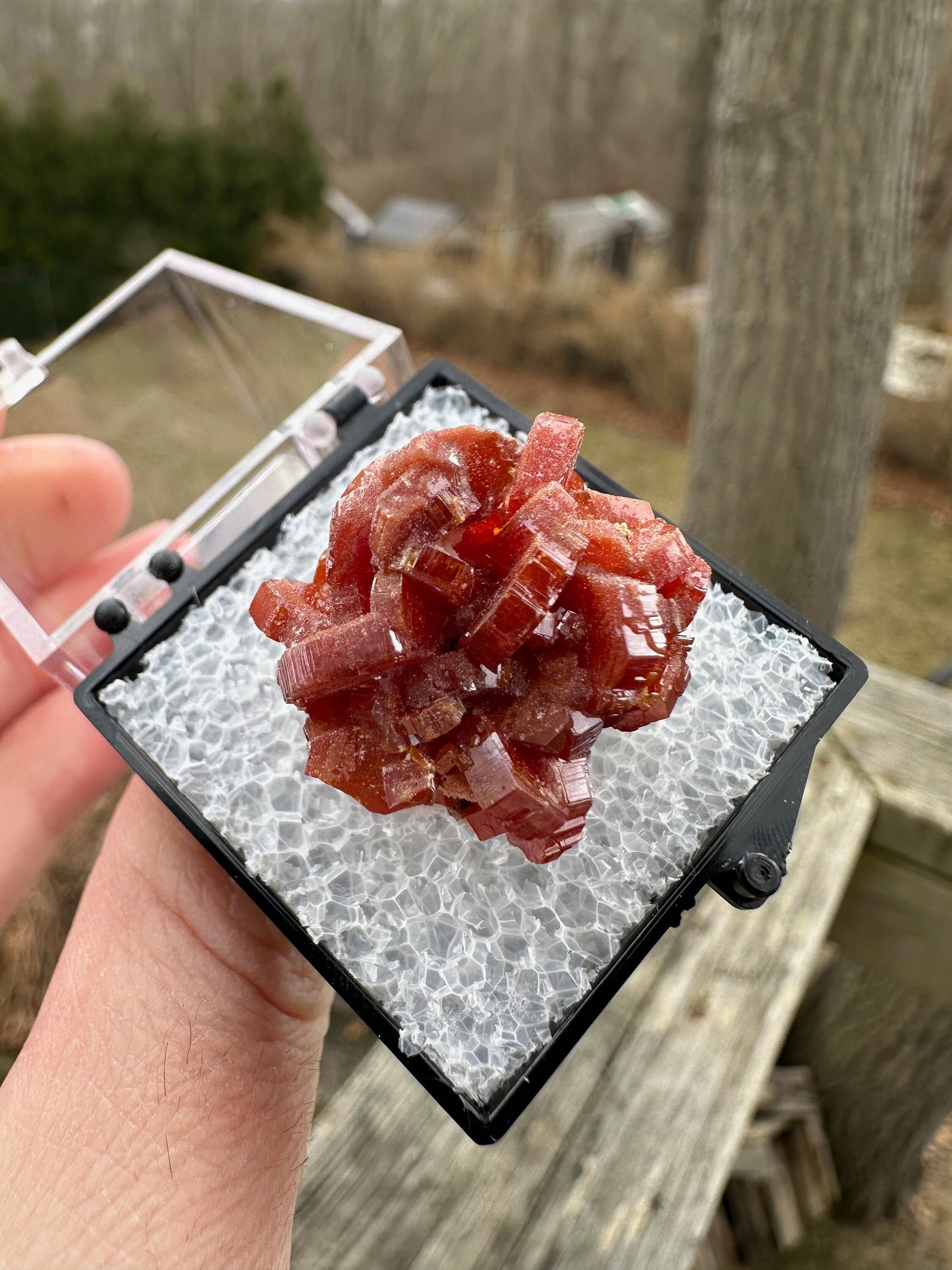 Vanadinite Crystal Cluster from Morocco