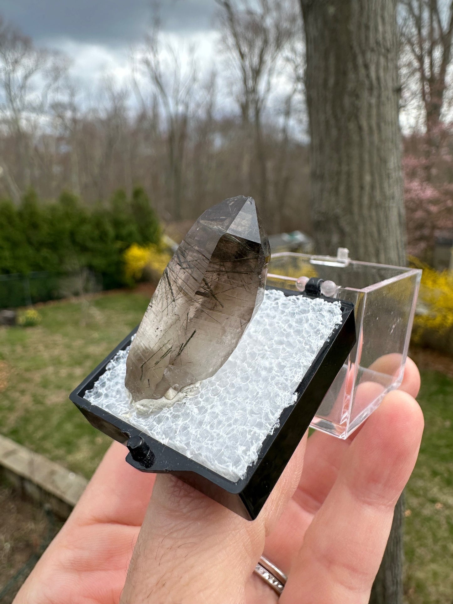 Tourmaline and Epidote in Smoky Quartz Crystal from Colorado USA