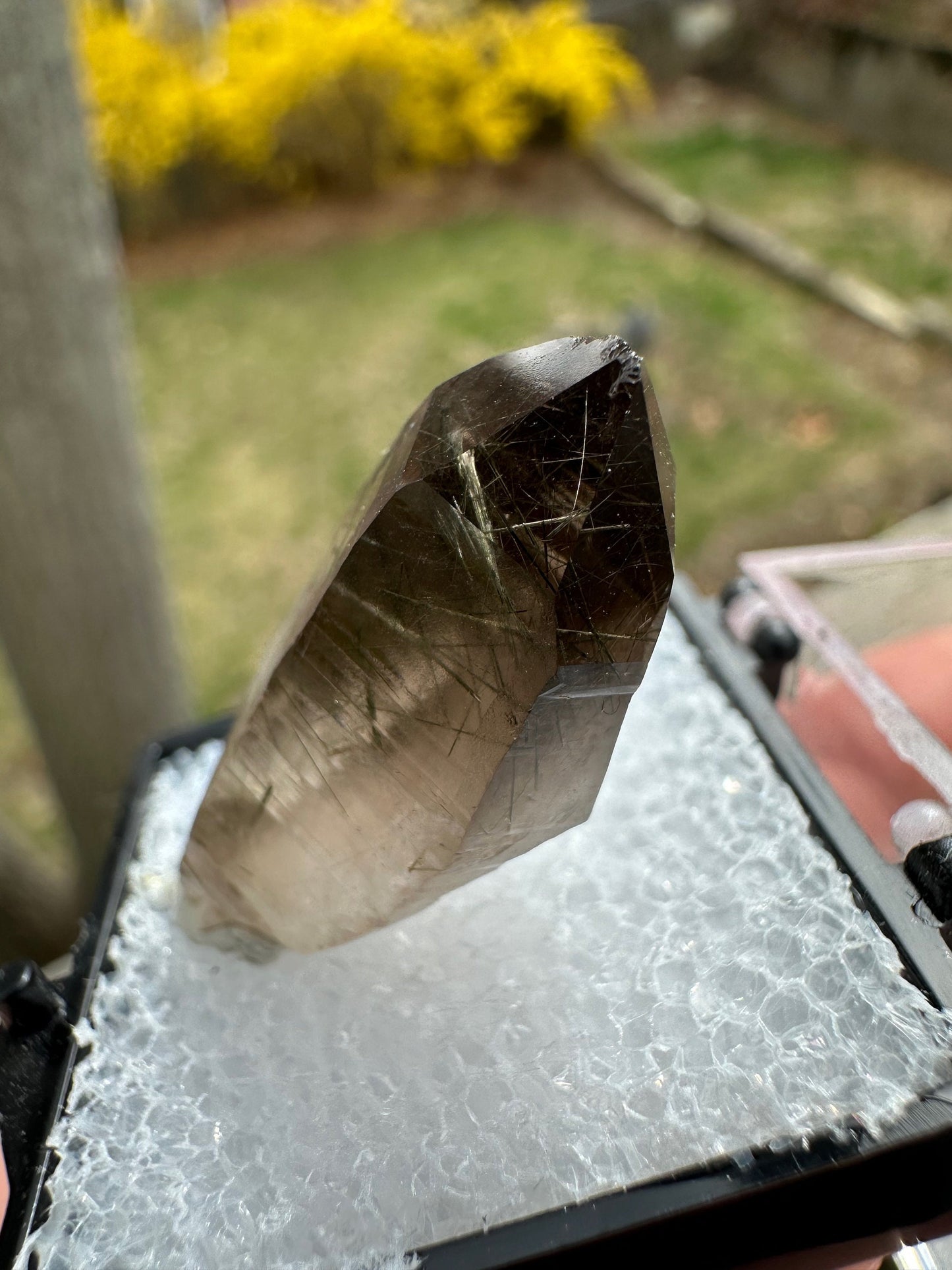 Tourmaline and Epidote in Smoky Quartz Crystal from Colorado USA