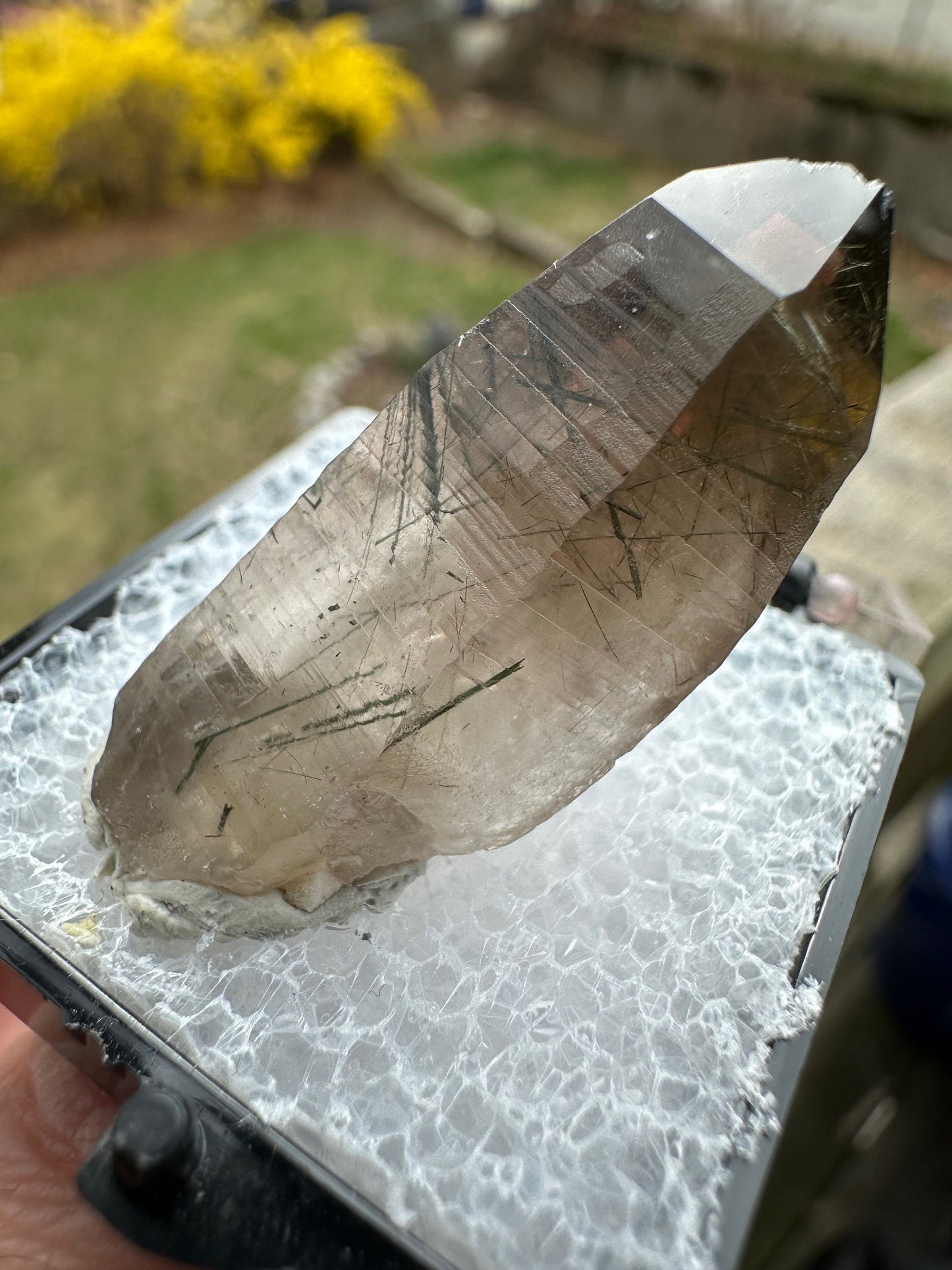 Tourmaline and Epidote in Smoky Quartz Crystal from Colorado USA