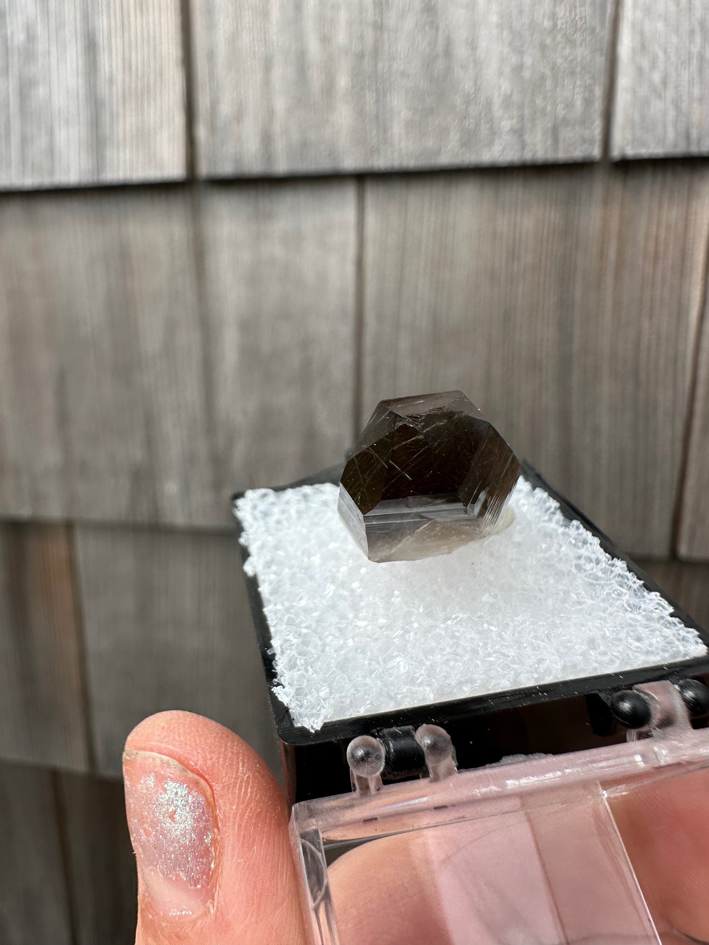 Tourmaline and Epidote in Smoky Quartz Crystal from Colorado USA