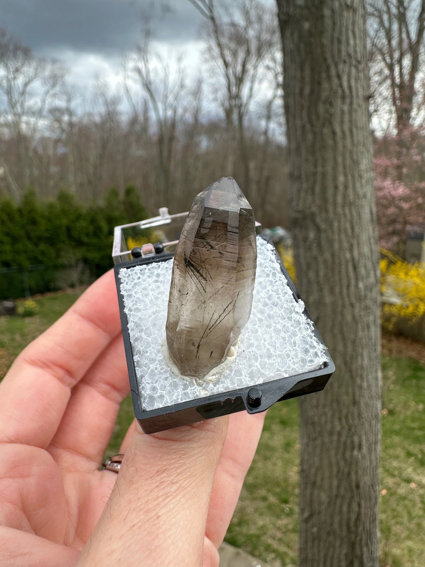 Tourmaline and Epidote in Smoky Quartz Crystal from Colorado USA
