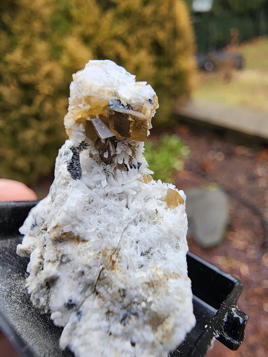 Siderite Crystals with Albite from Quebec