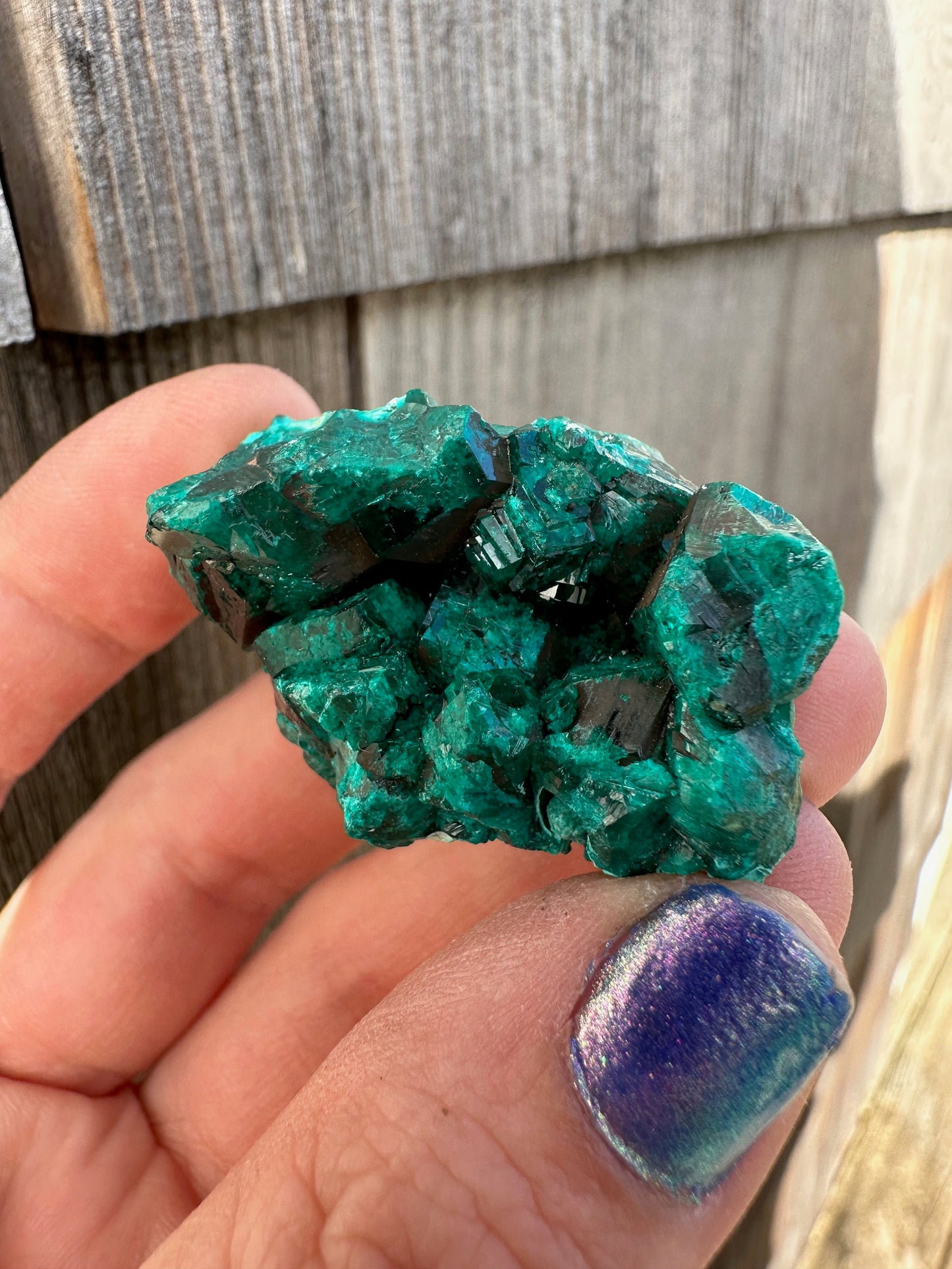 Dioptase Crystals with Chrysocolla From Congo