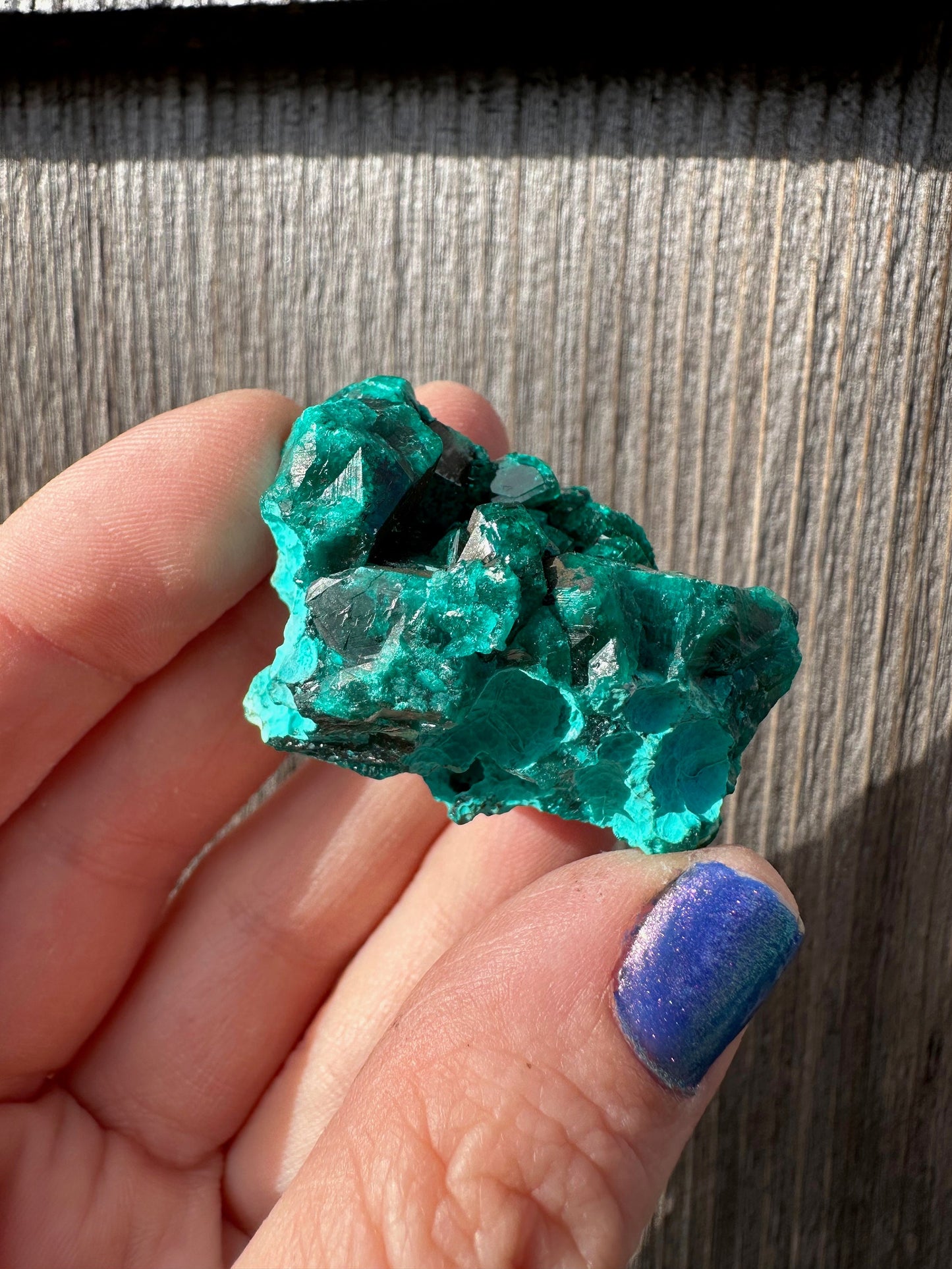 Dioptase Crystals with Chrysocolla From Congo