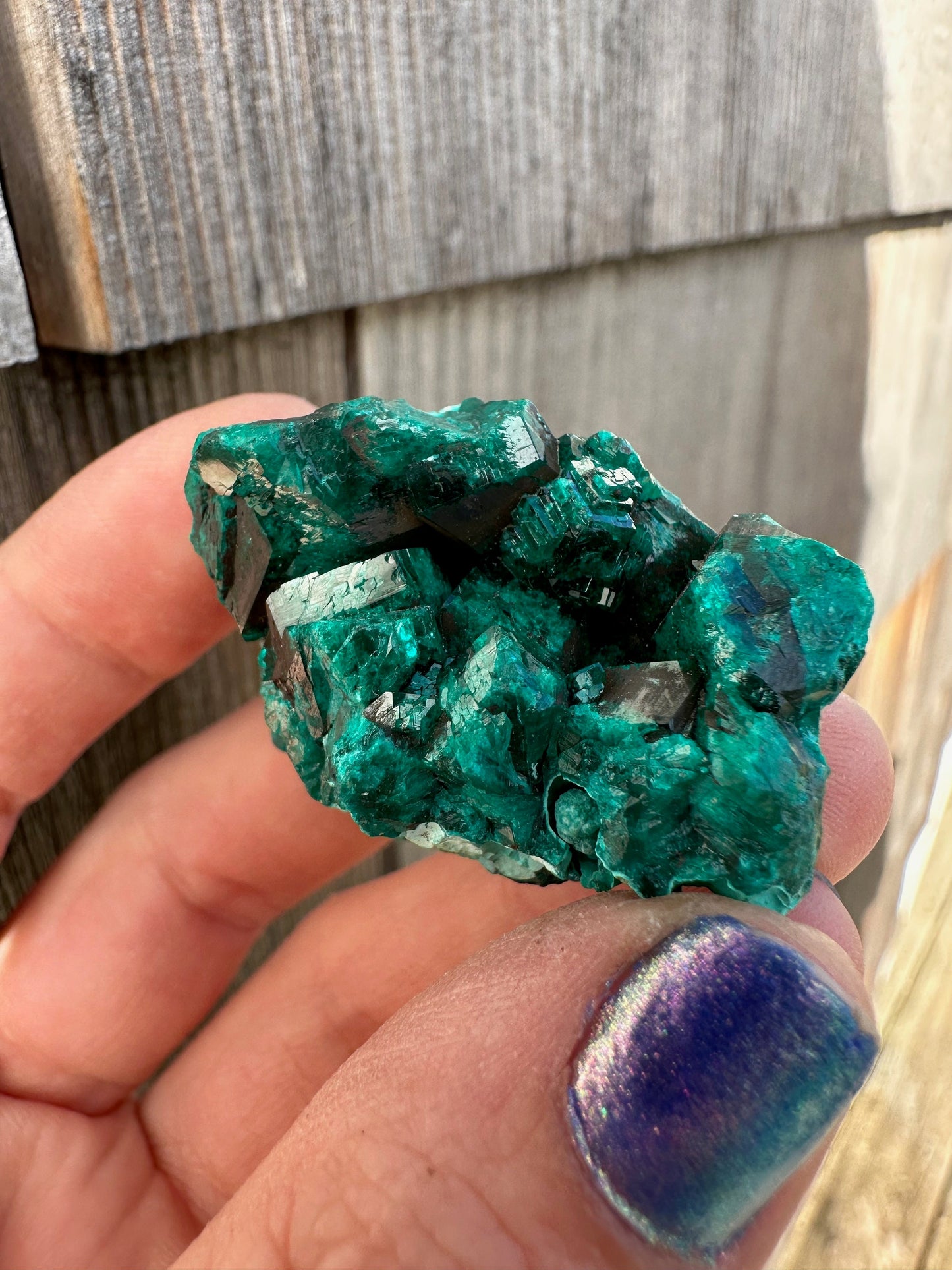 Dioptase Crystals with Chrysocolla From Congo