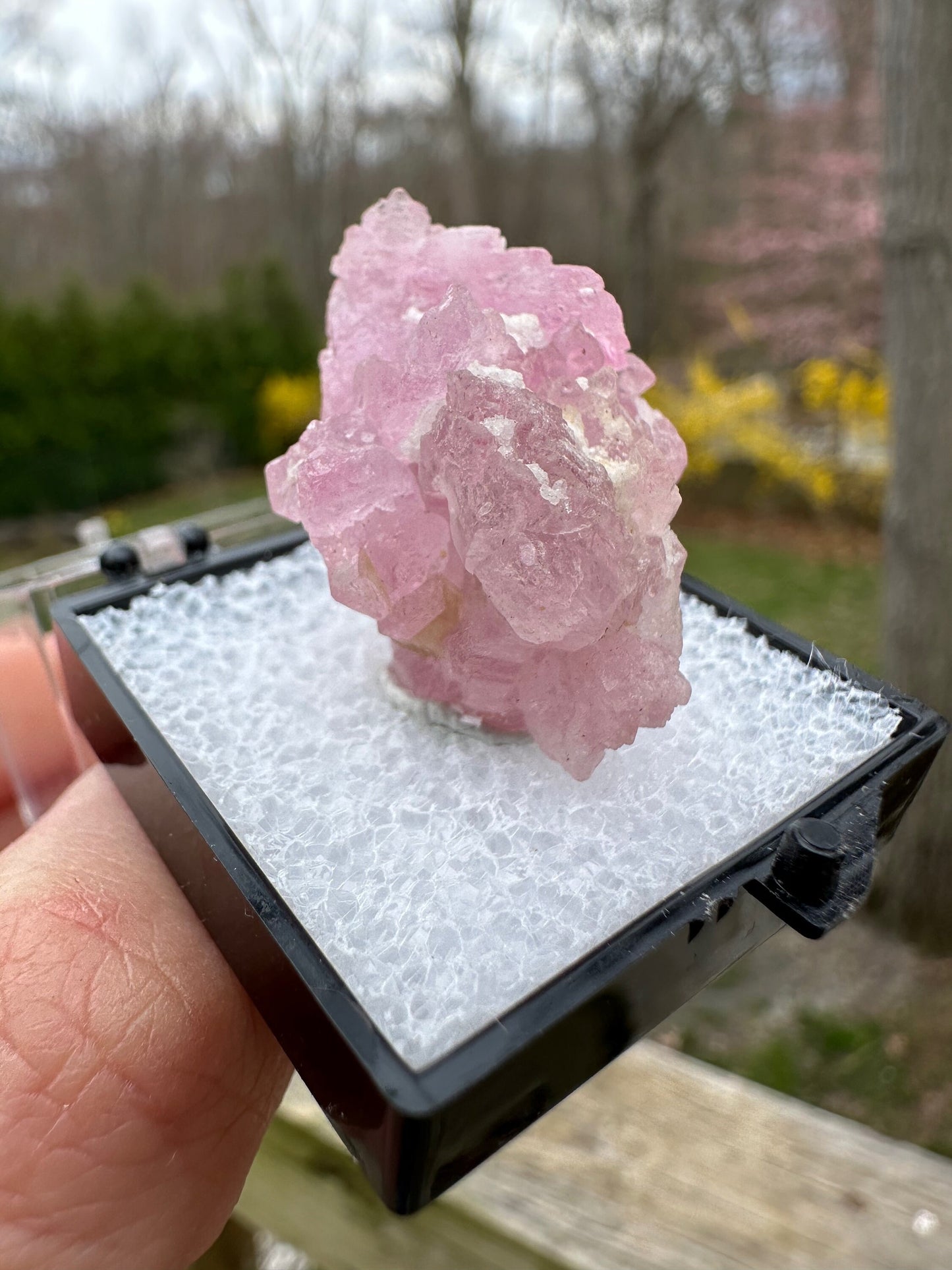 Elestial Rose Quartz Cluster from Brazil