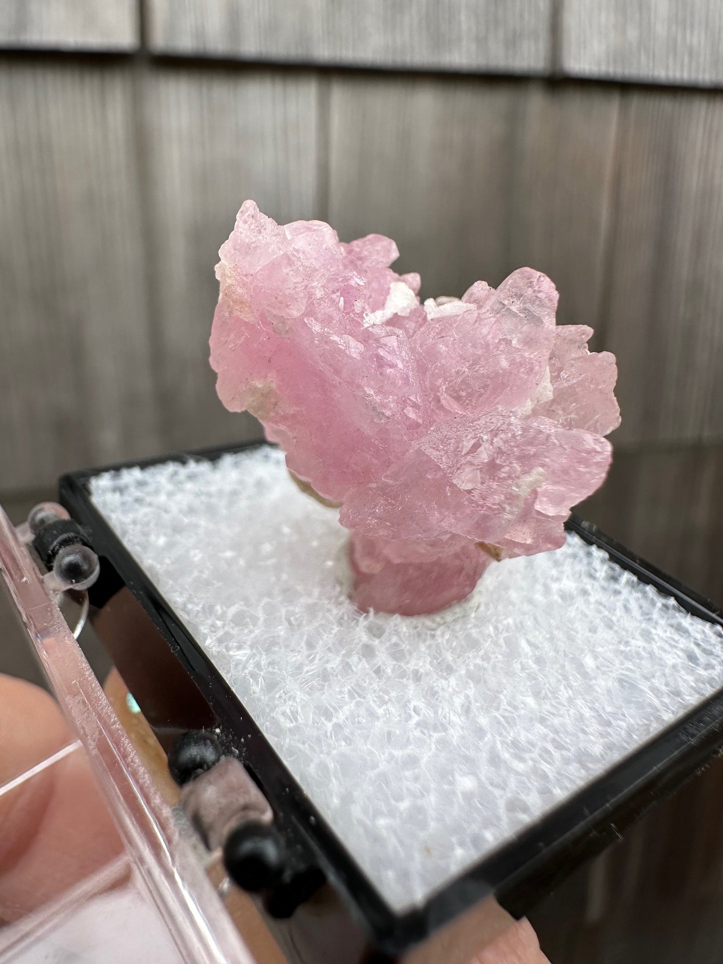 Elestial Rose Quartz Cluster from Brazil