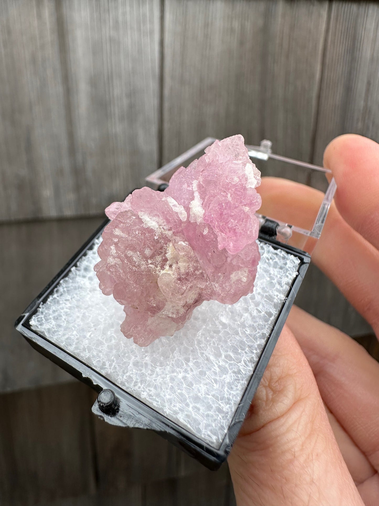 Elestial Rose Quartz Cluster from Brazil
