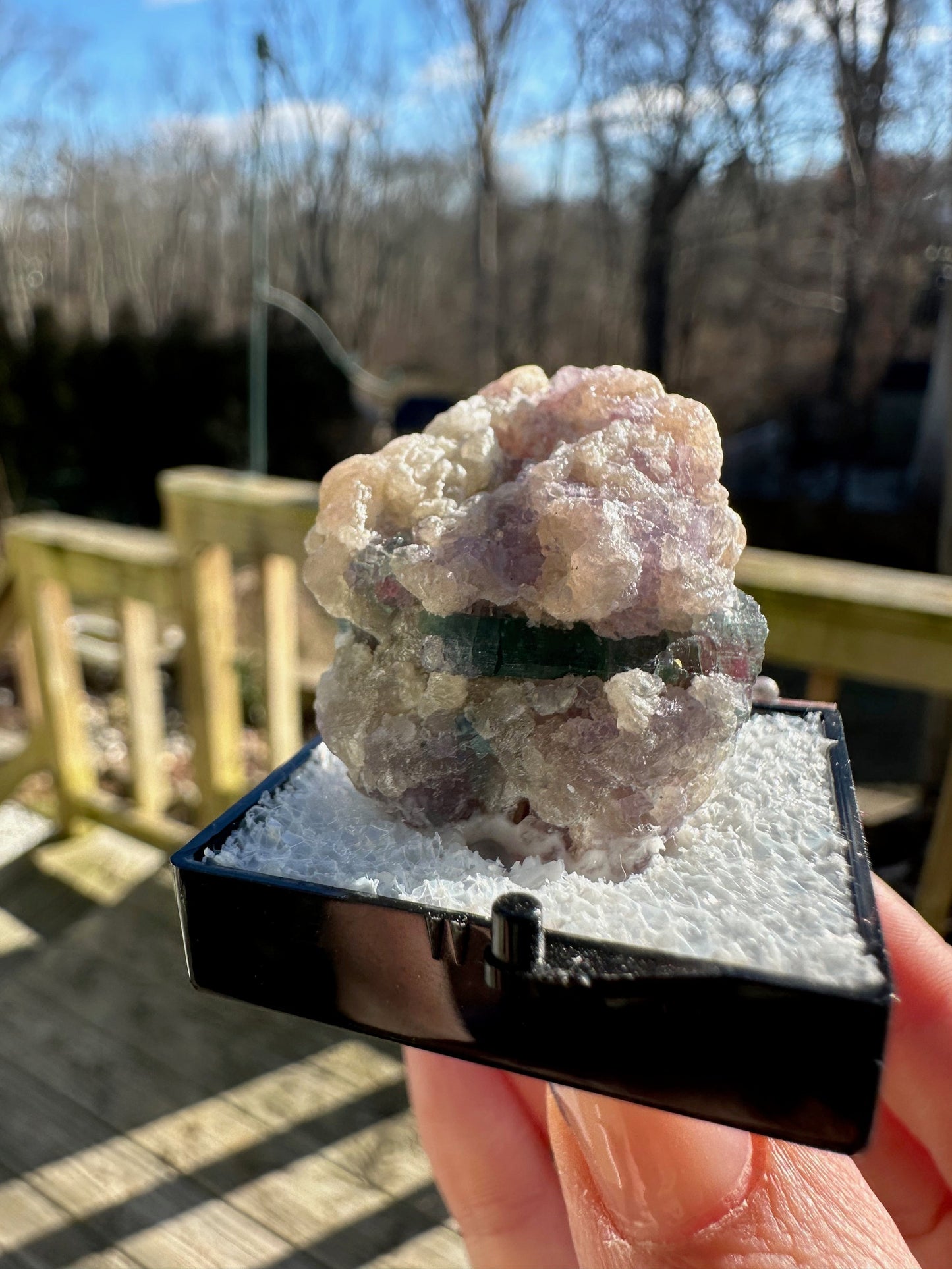 Watermelon Tourmaline with Lepidolite from Brazil