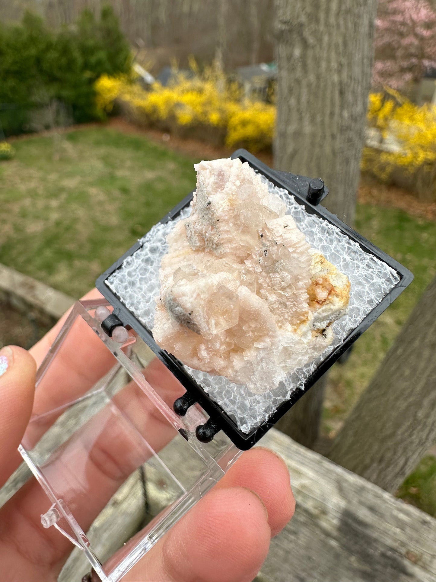 Calcite with Pink Dolomite from Maryland USA