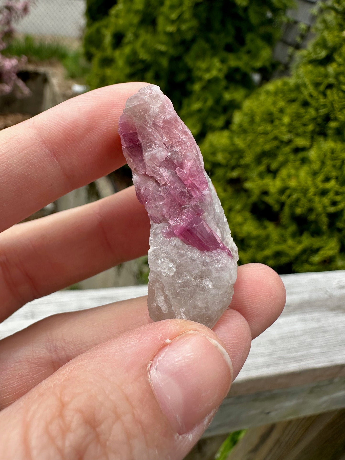Rubellite Tourmaline in Quartz from Brazil
