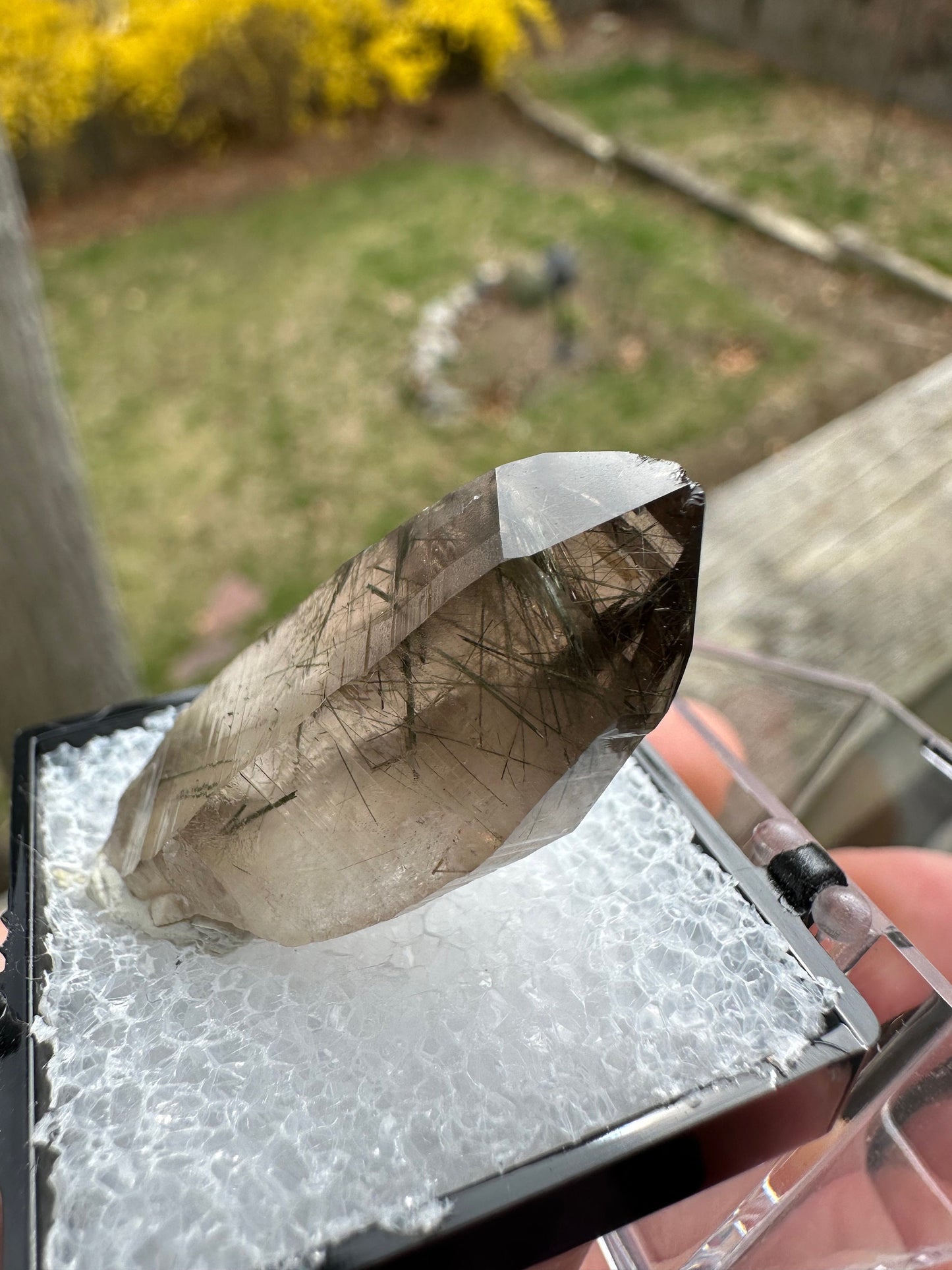 Tourmaline and Epidote in Smoky Quartz Crystal from Colorado USA