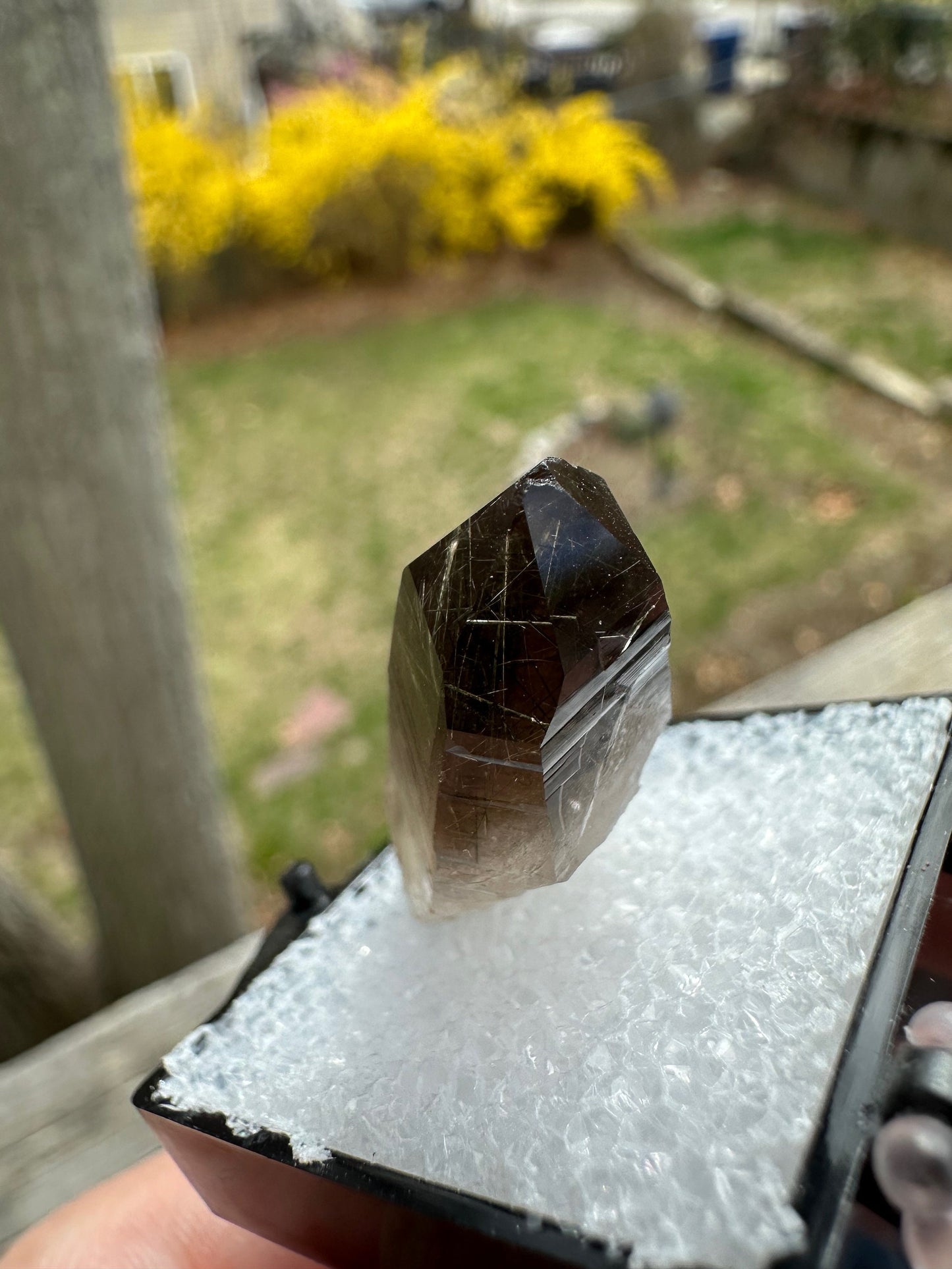 Tourmaline and Epidote in Smoky Quartz Crystal from Colorado USA