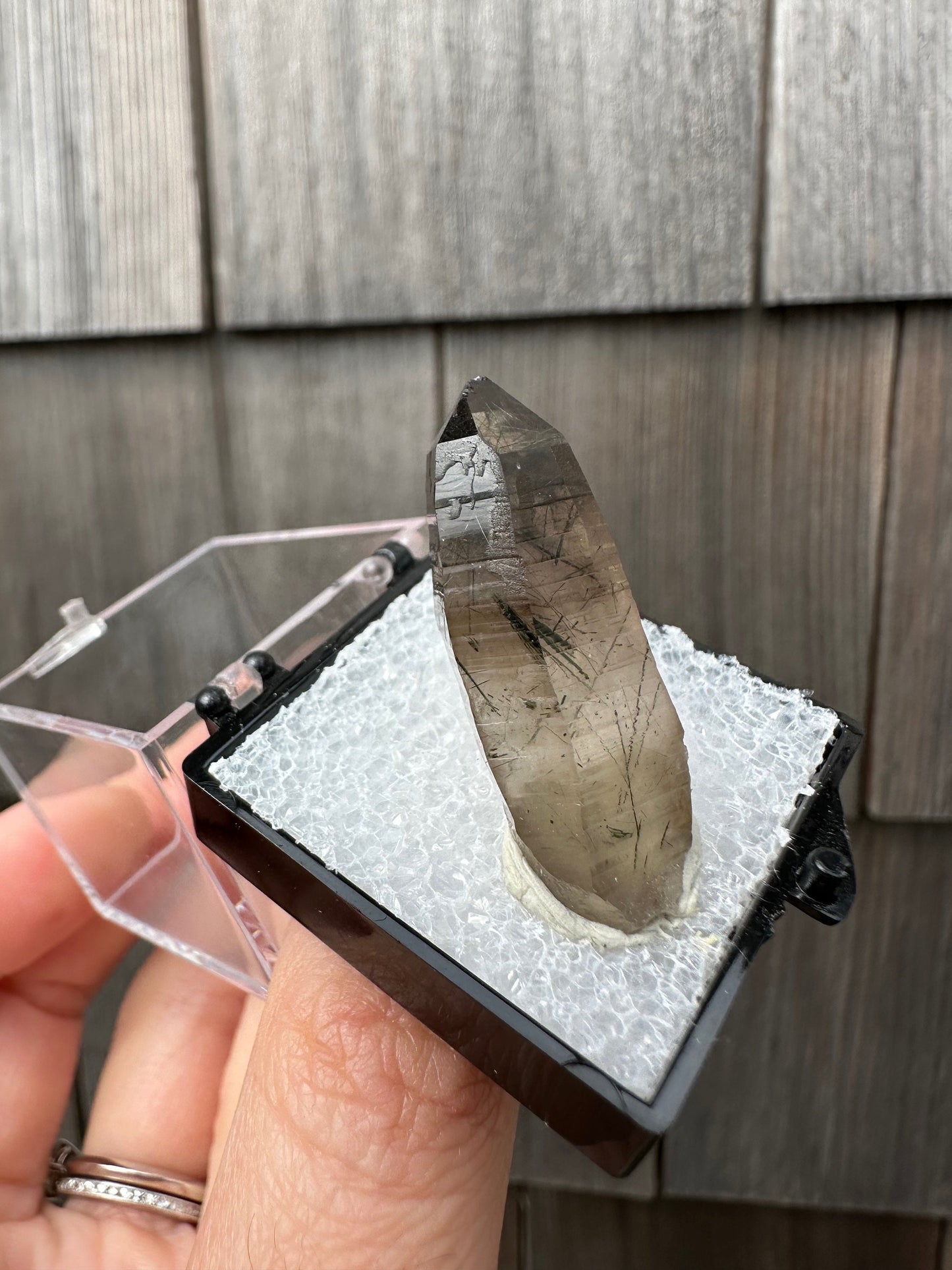 Tourmaline and Epidote in Smoky Quartz Crystal from Colorado USA