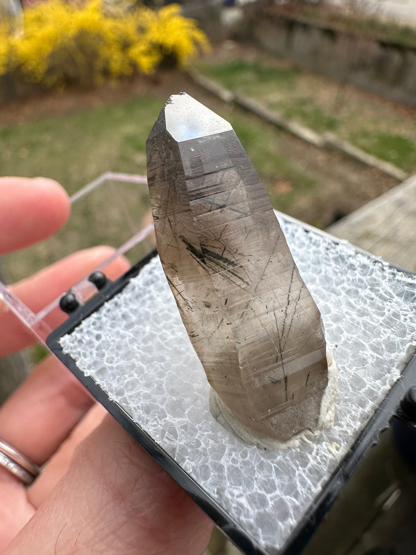 Tourmaline and Epidote in Smoky Quartz Crystal from Colorado USA