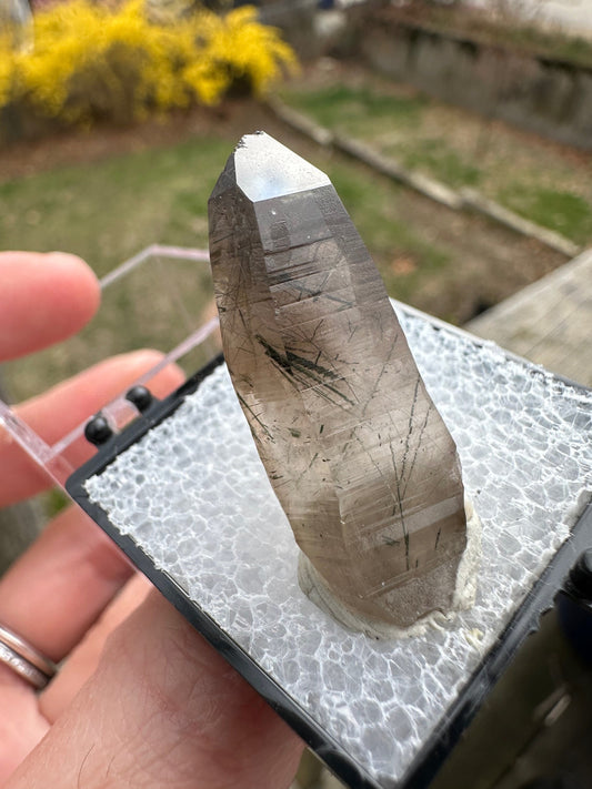 Tourmaline and Epidote in Smoky Quartz Crystal from Colorado USA