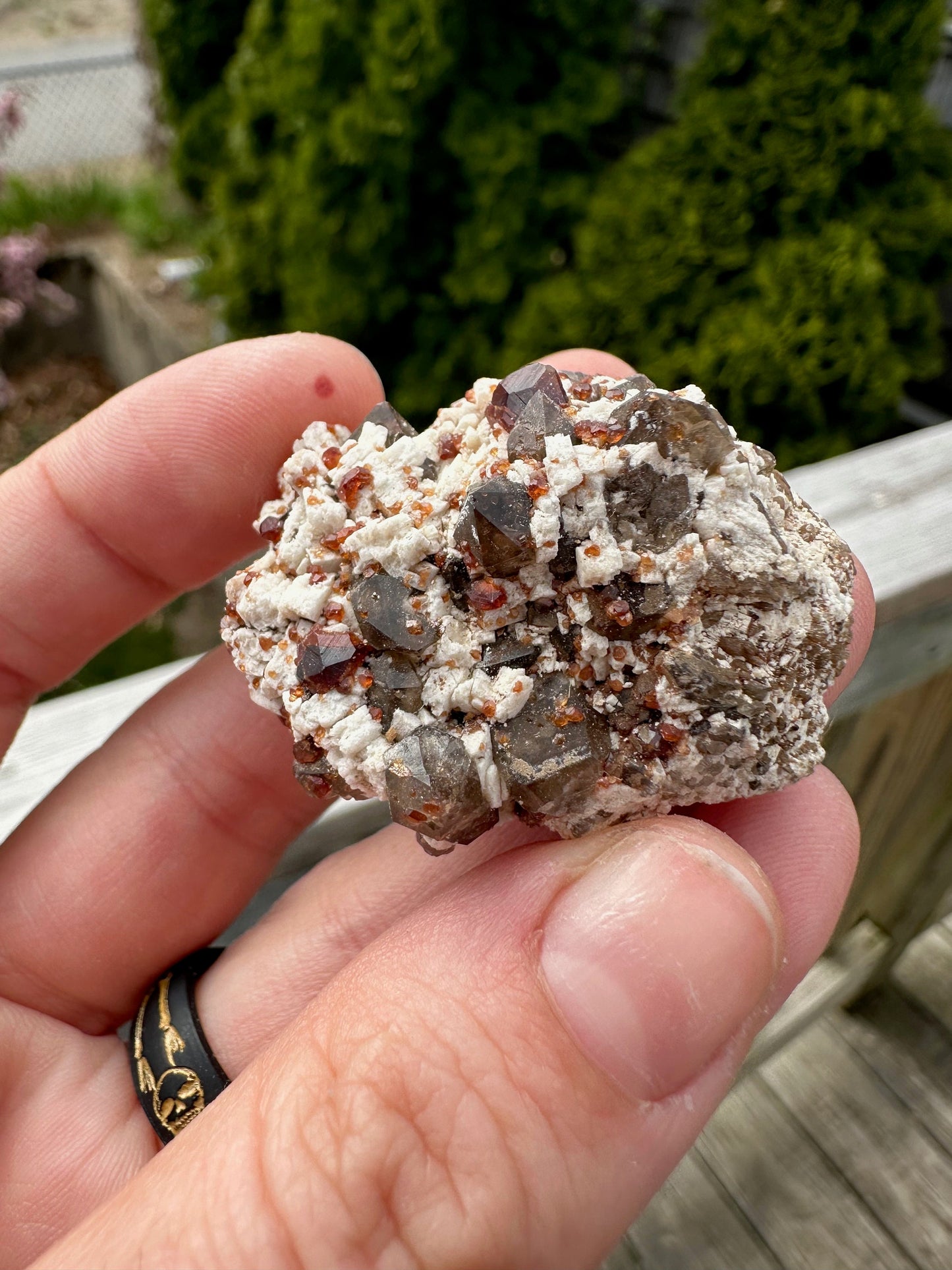 Spessartine Garnets on and in Smoky Quartz on Matrix from China