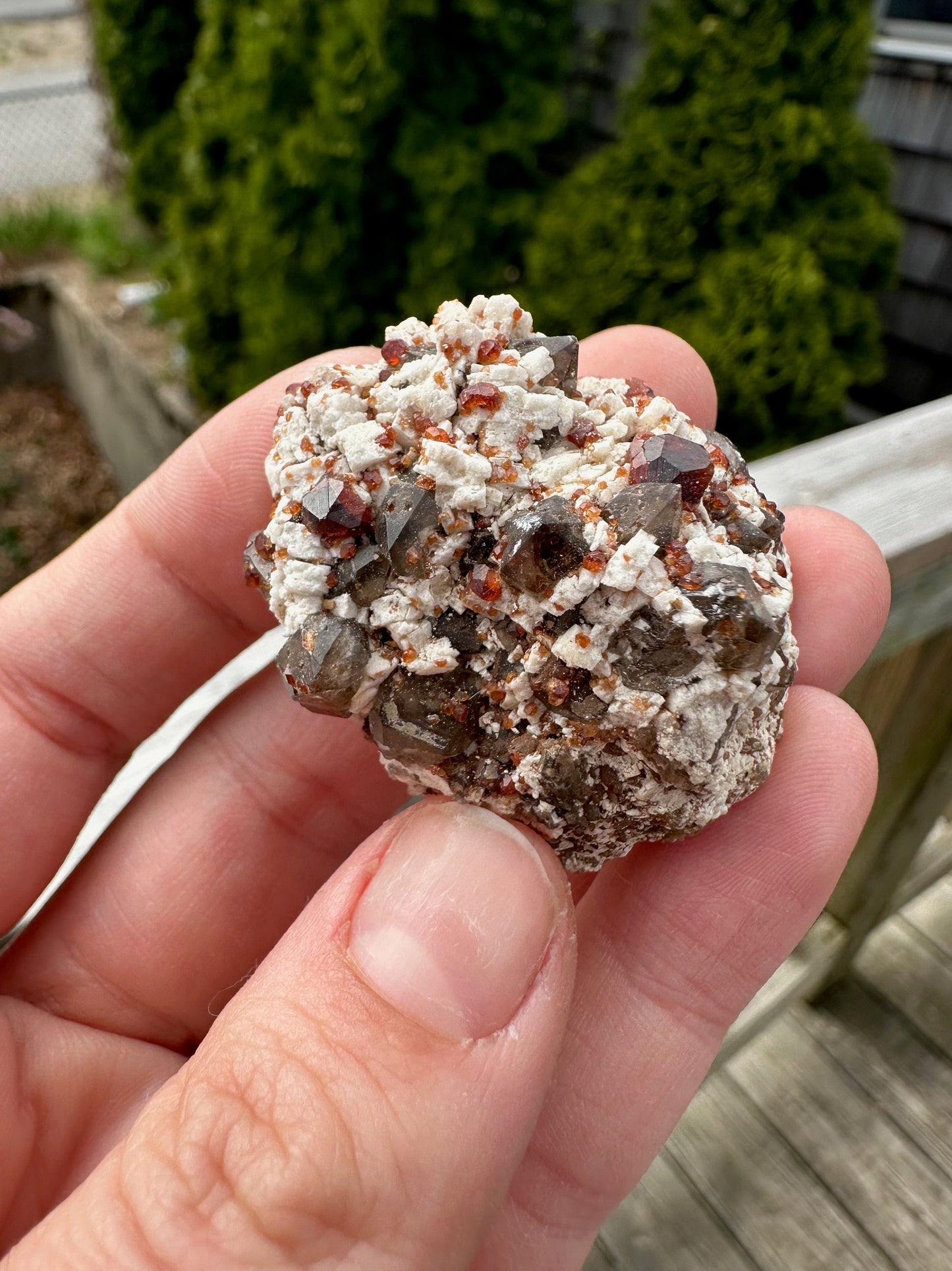 Spessartine Garnets on and in Smoky Quartz on Matrix from China