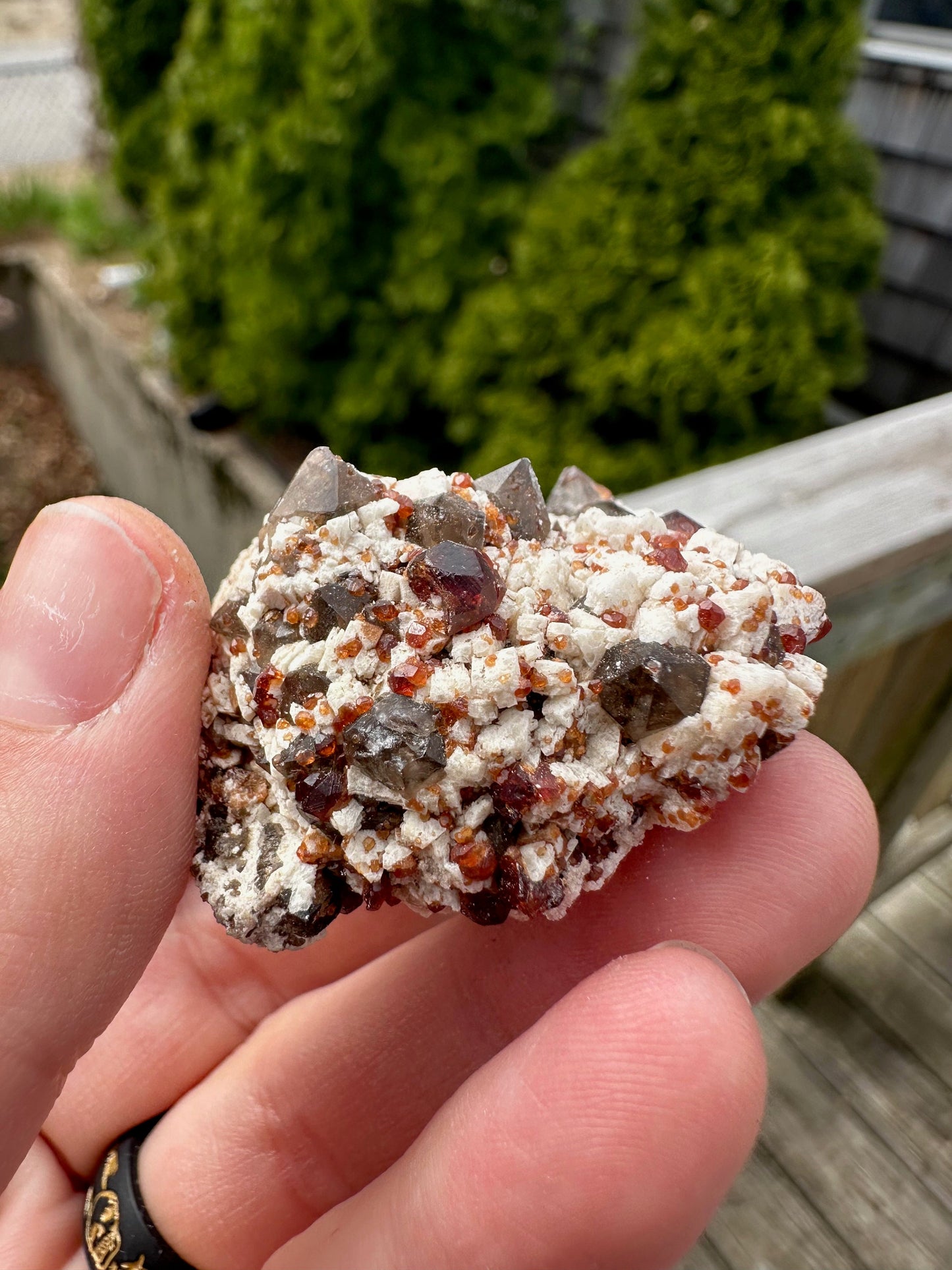 Spessartine Garnets on and in Smoky Quartz on Matrix from China