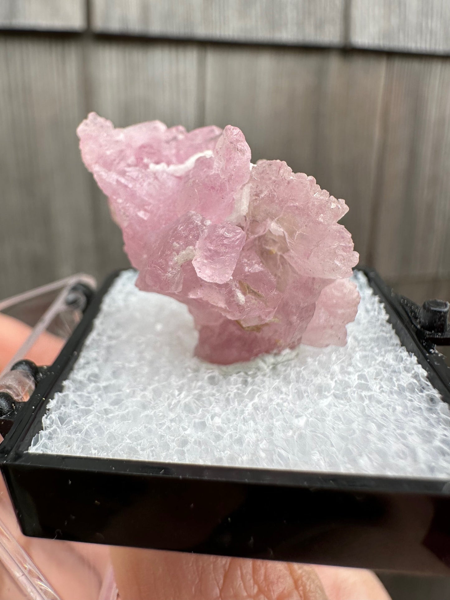 Elestial Rose Quartz Cluster from Brazil