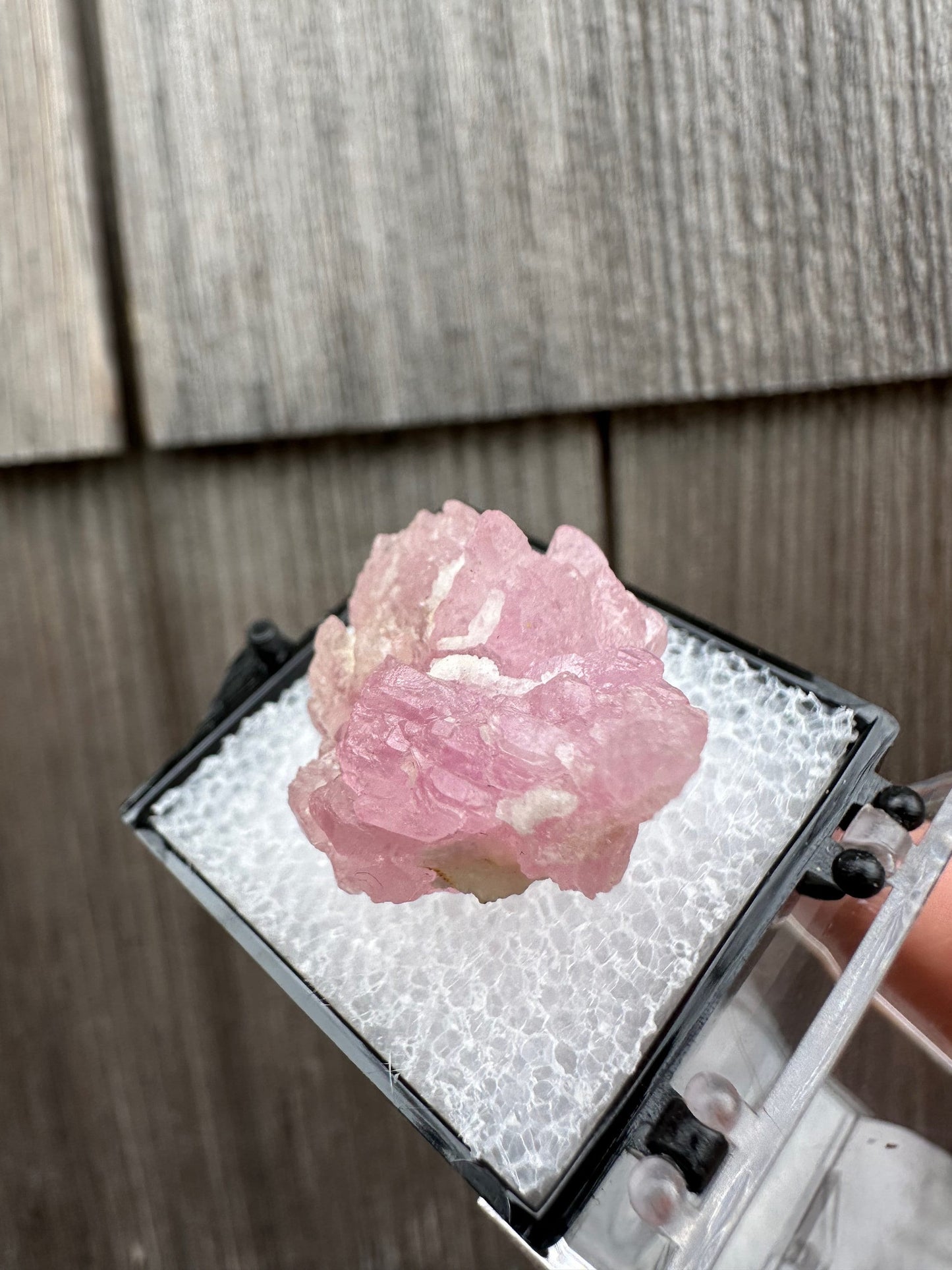 Elestial Rose Quartz Cluster from Brazil