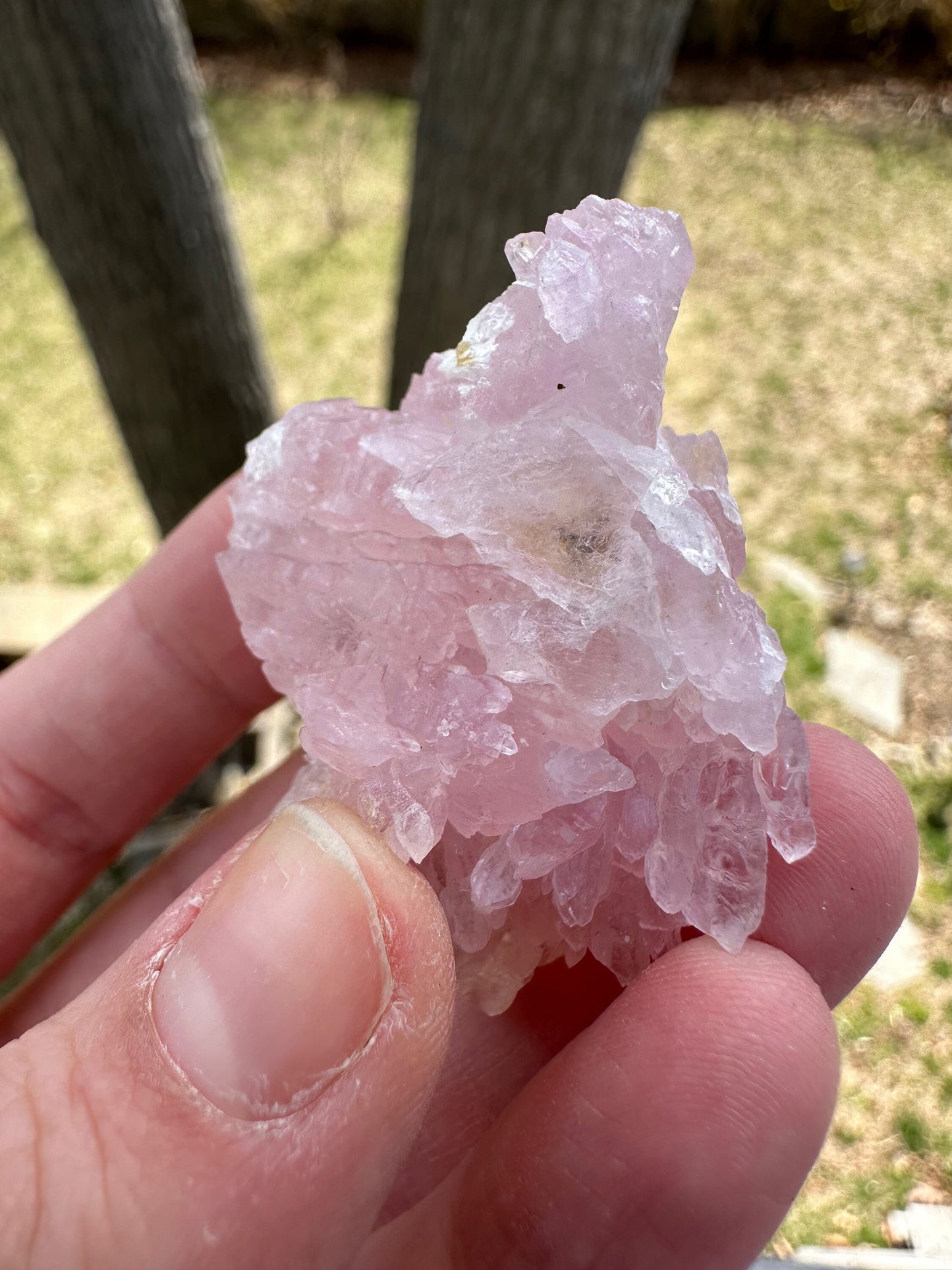 Elestial Rose Quartz Cluster from Brazil