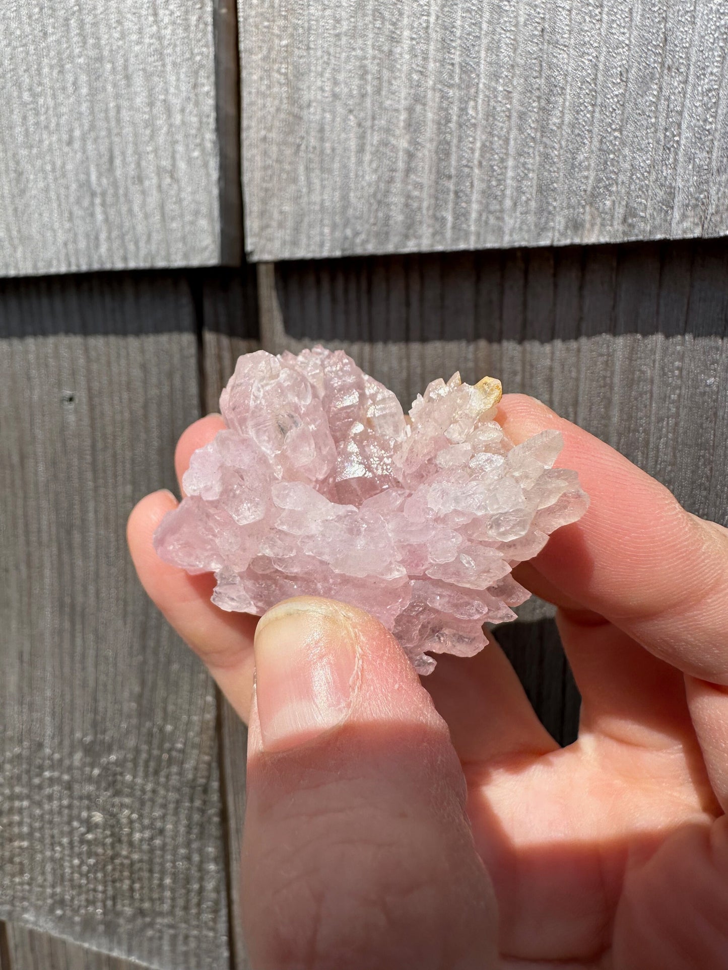 Elestial Rose Quartz Cluster from Brazil