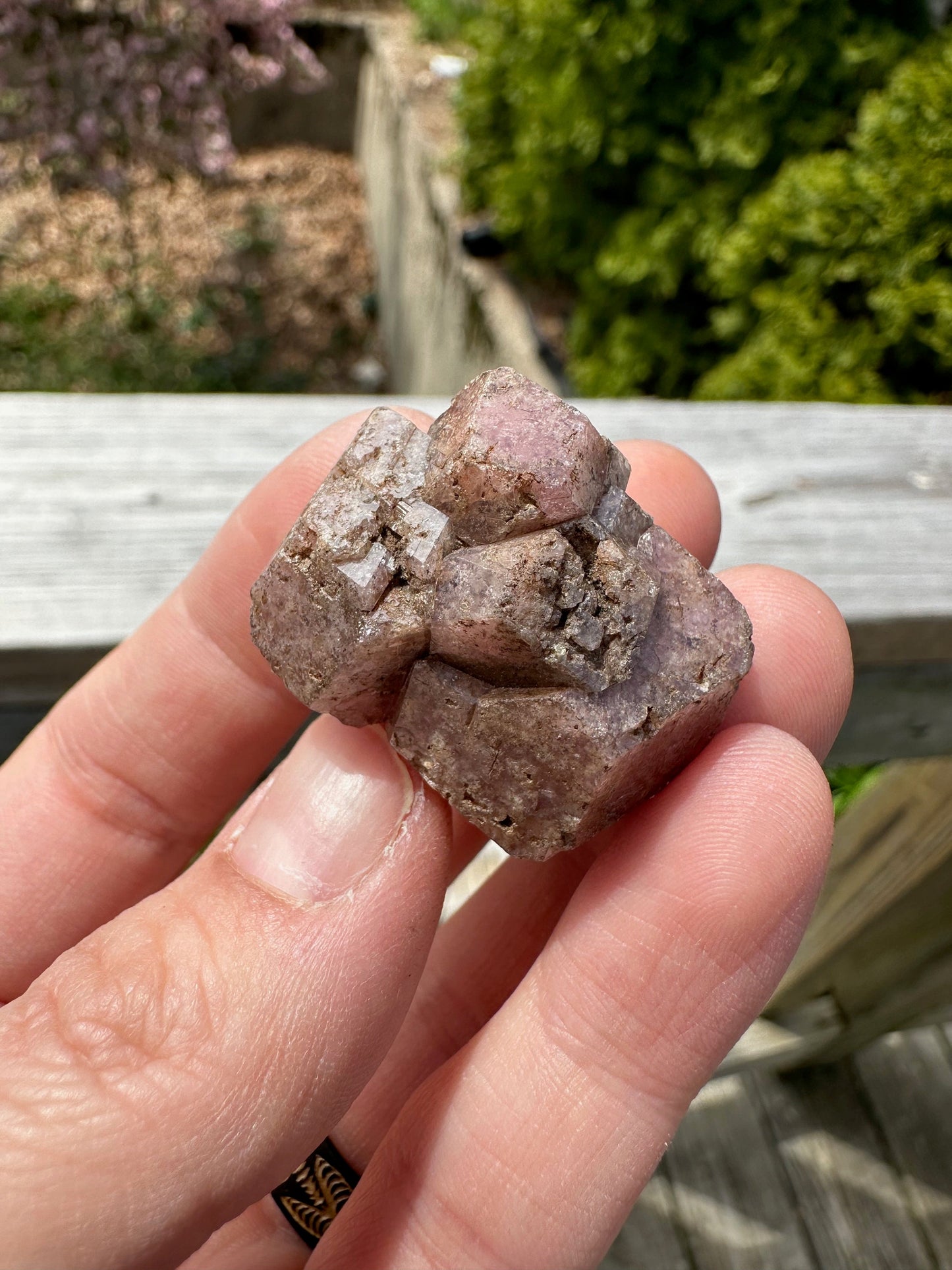 Pink Grossular Garnet Cluster from Xalostoc, Mexico