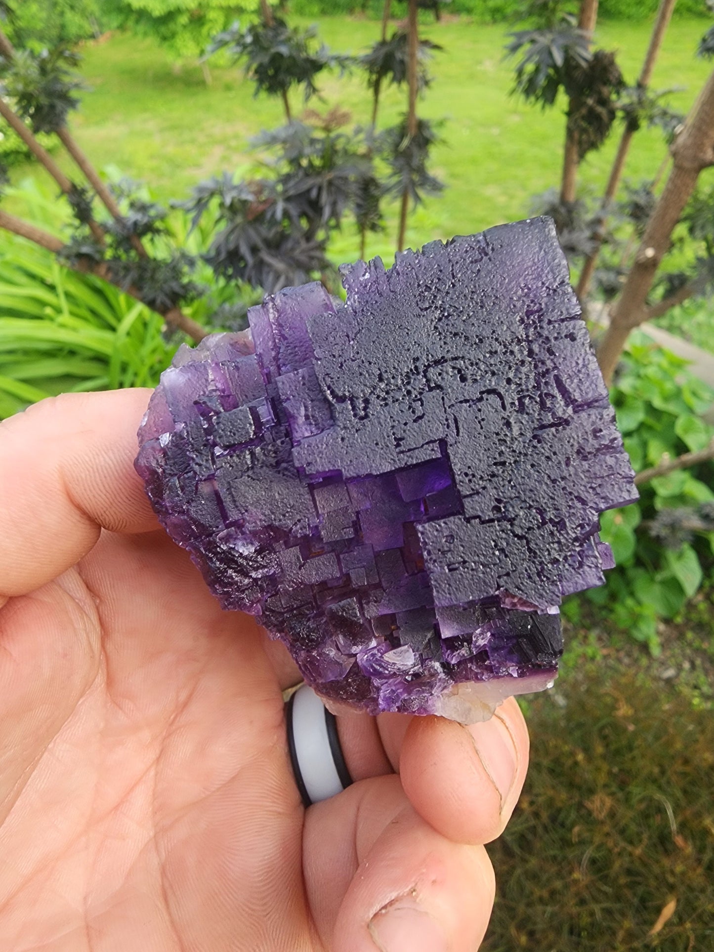 Cave-in-Rock Fluorite Crystal from Lead Hill, Hardin County, Illinois